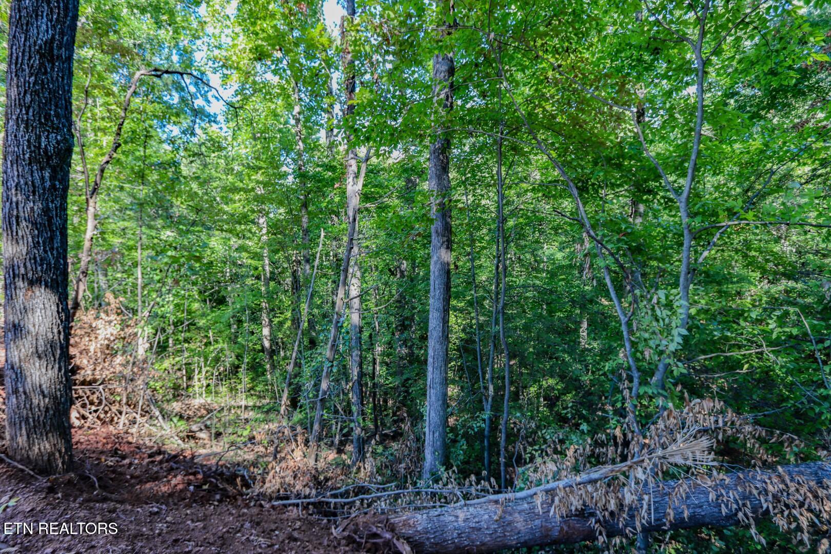 1282 Applewood Road Newport TN 37821