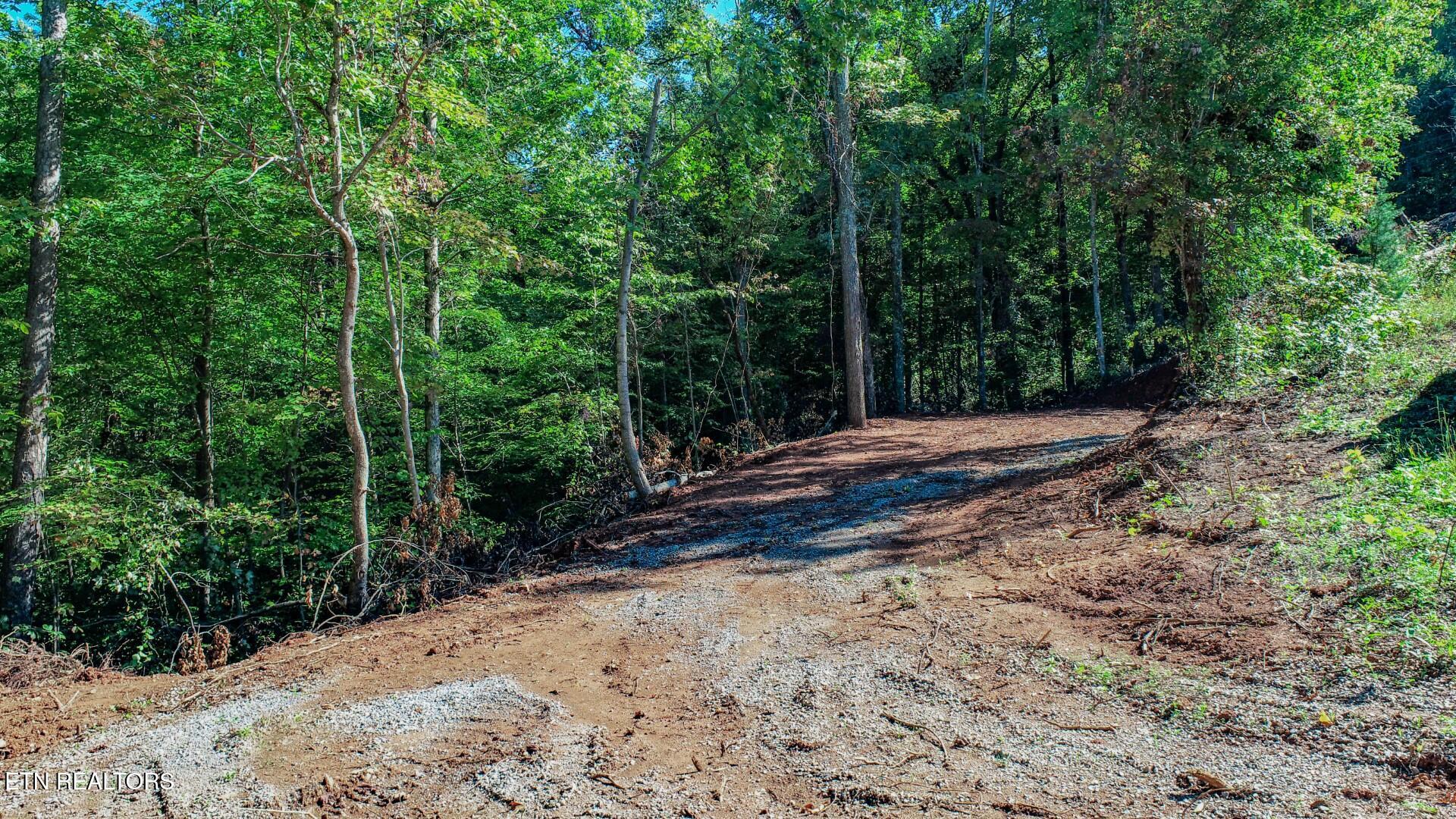 1282 Applewood Road Newport TN 37821