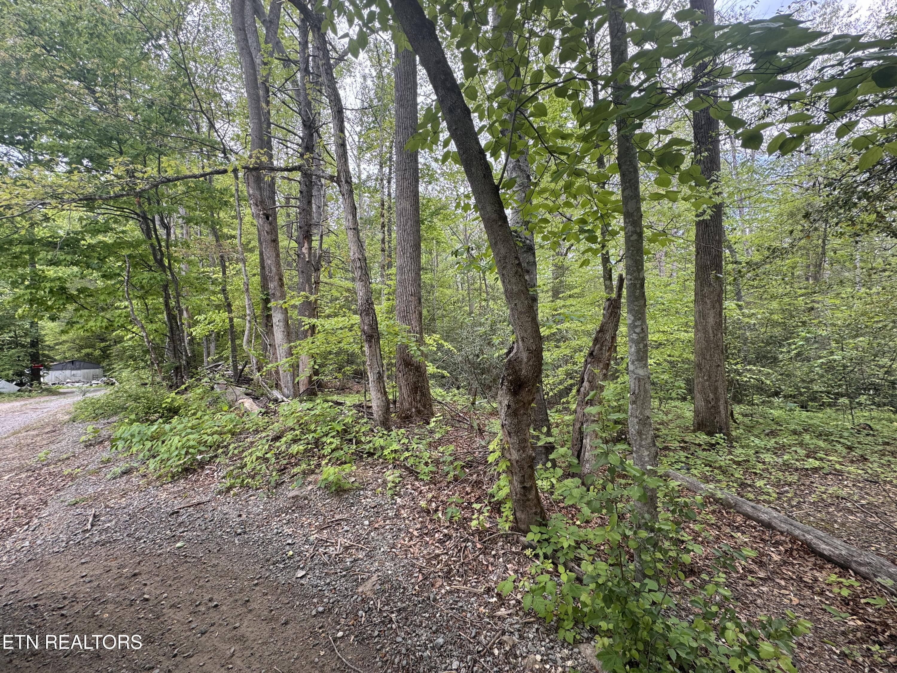 Flat Road Cosby TN 37722