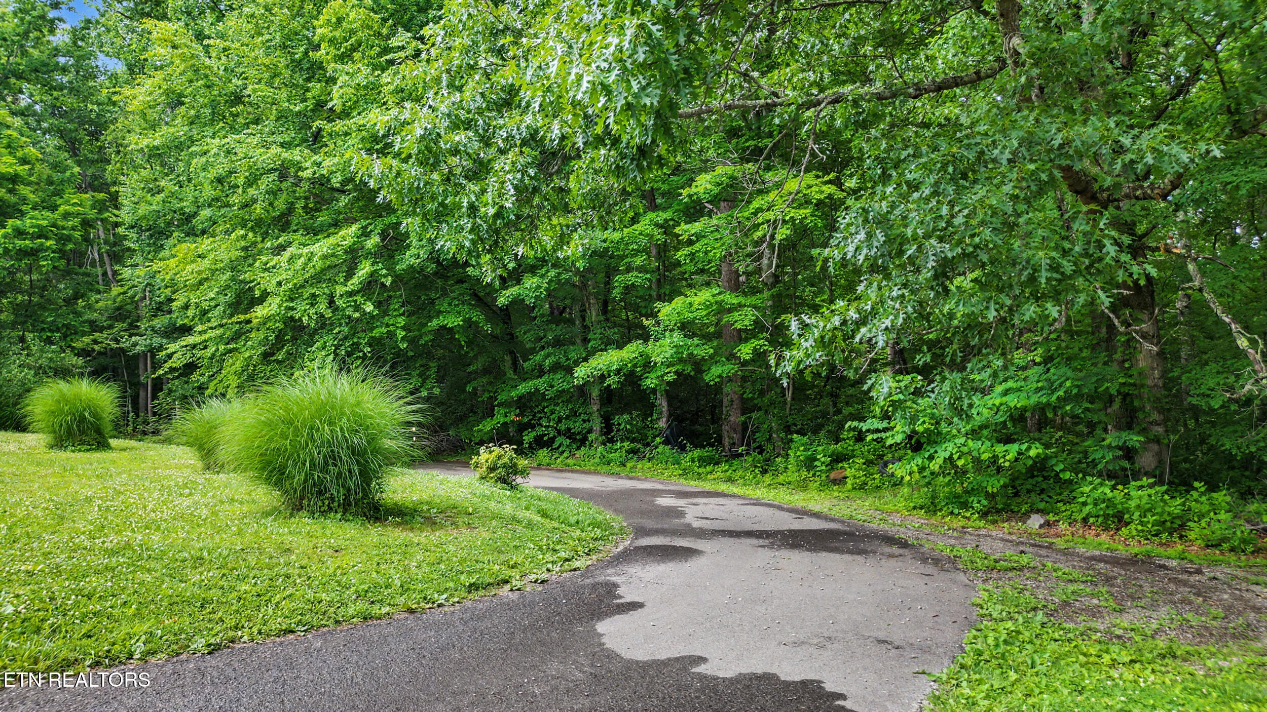 Flat Road Cosby TN 37722