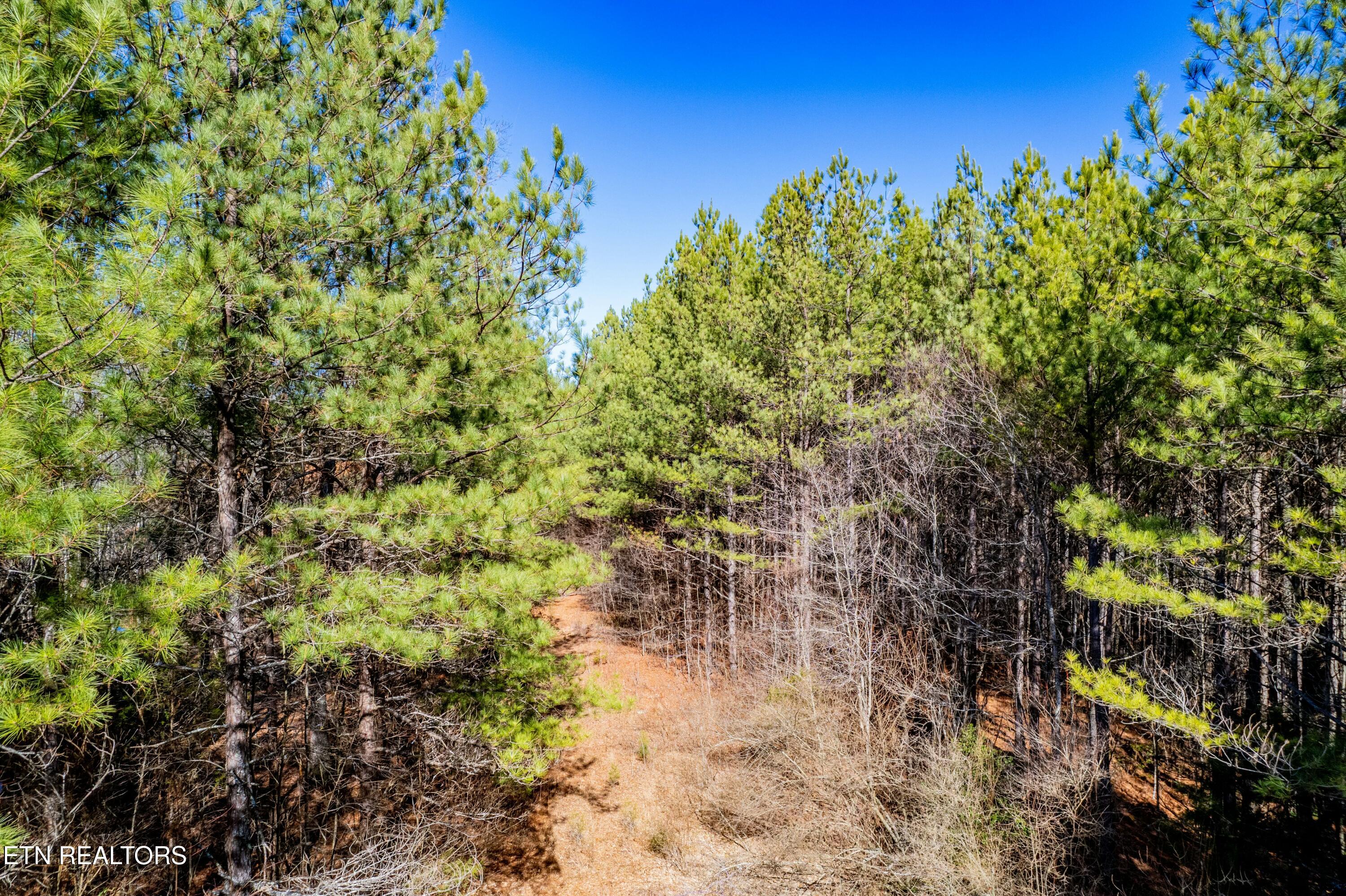 Airport Road Rockwood TN 37854