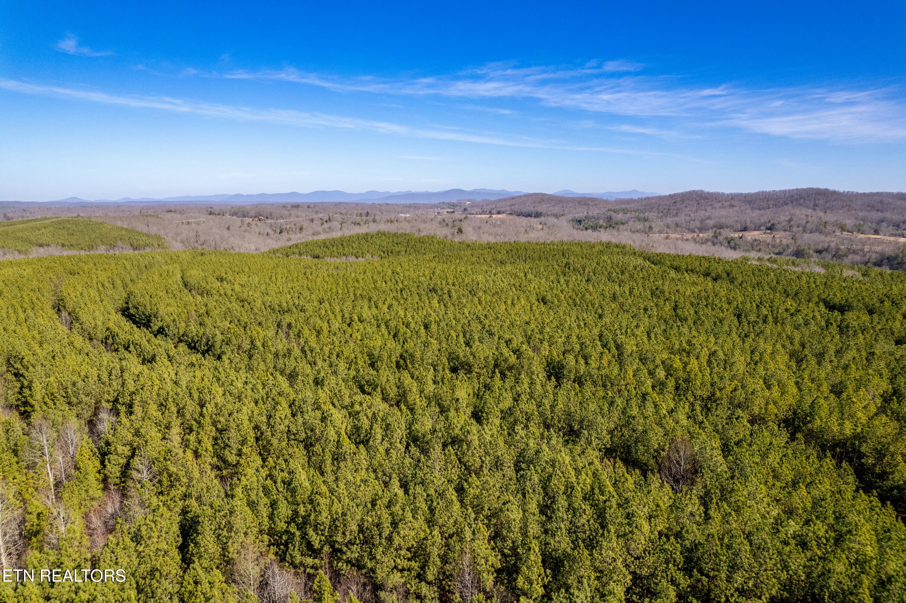 Airport Road Rockwood TN 37854