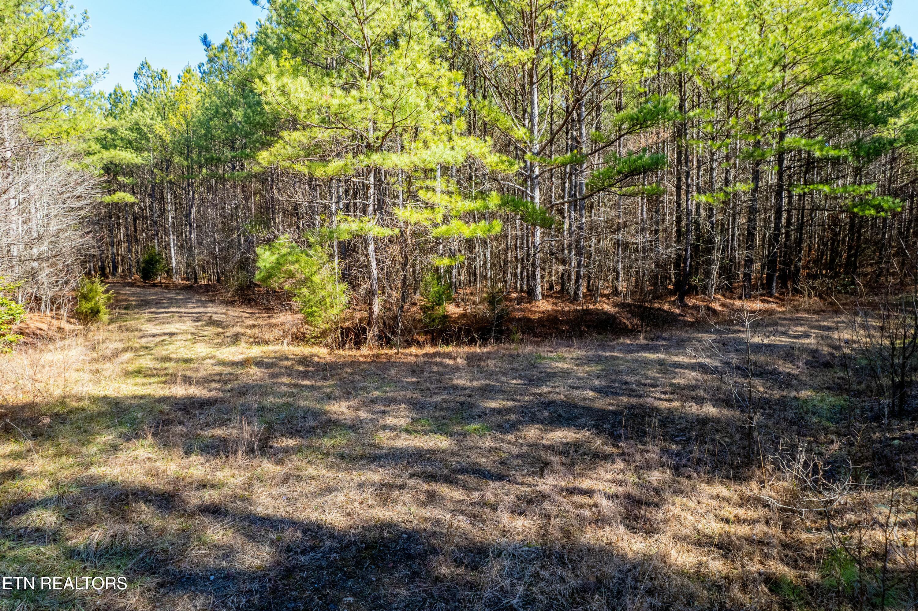 Airport Road Rockwood TN 37854