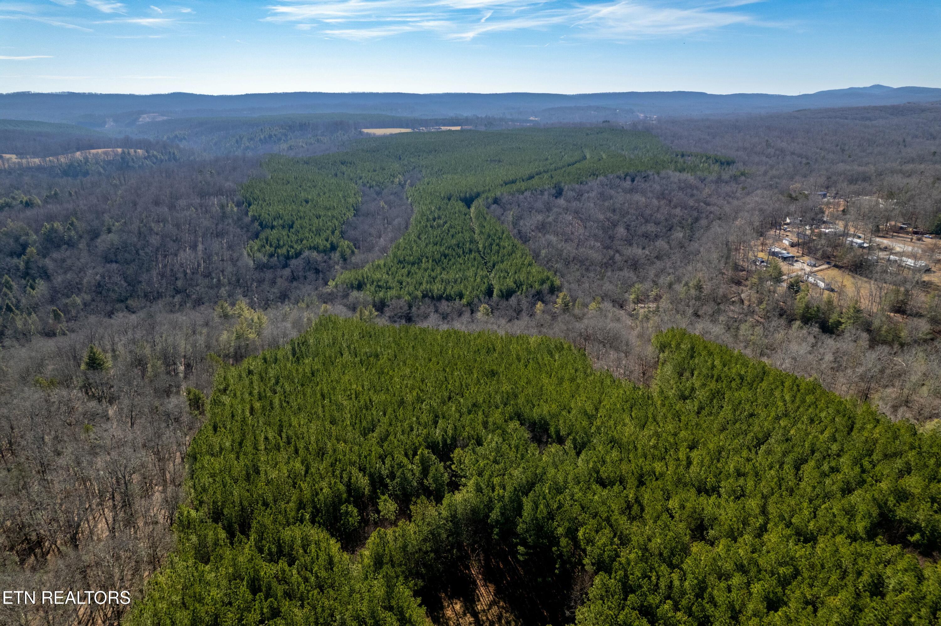 Airport Road Rockwood TN 37854