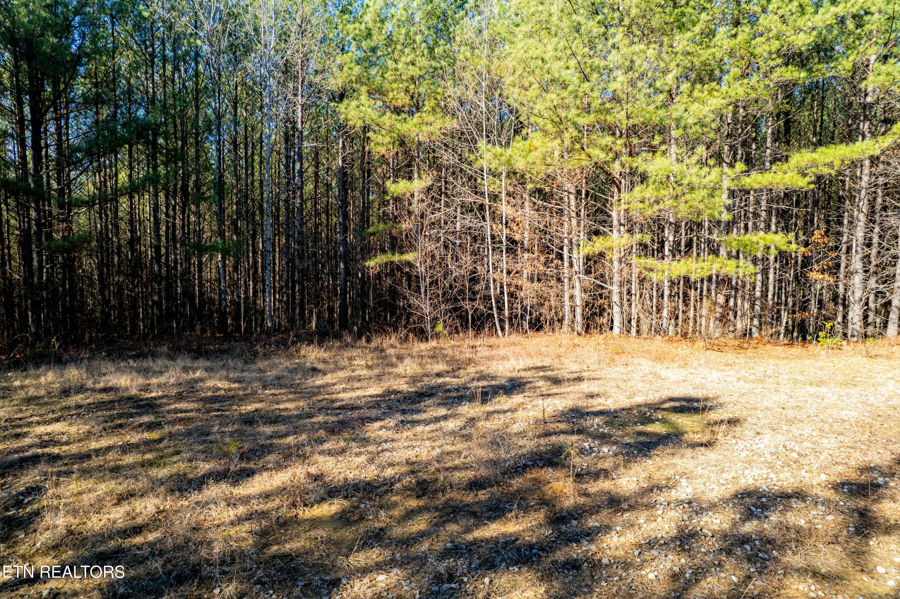 Airport Road Rockwood TN 37854