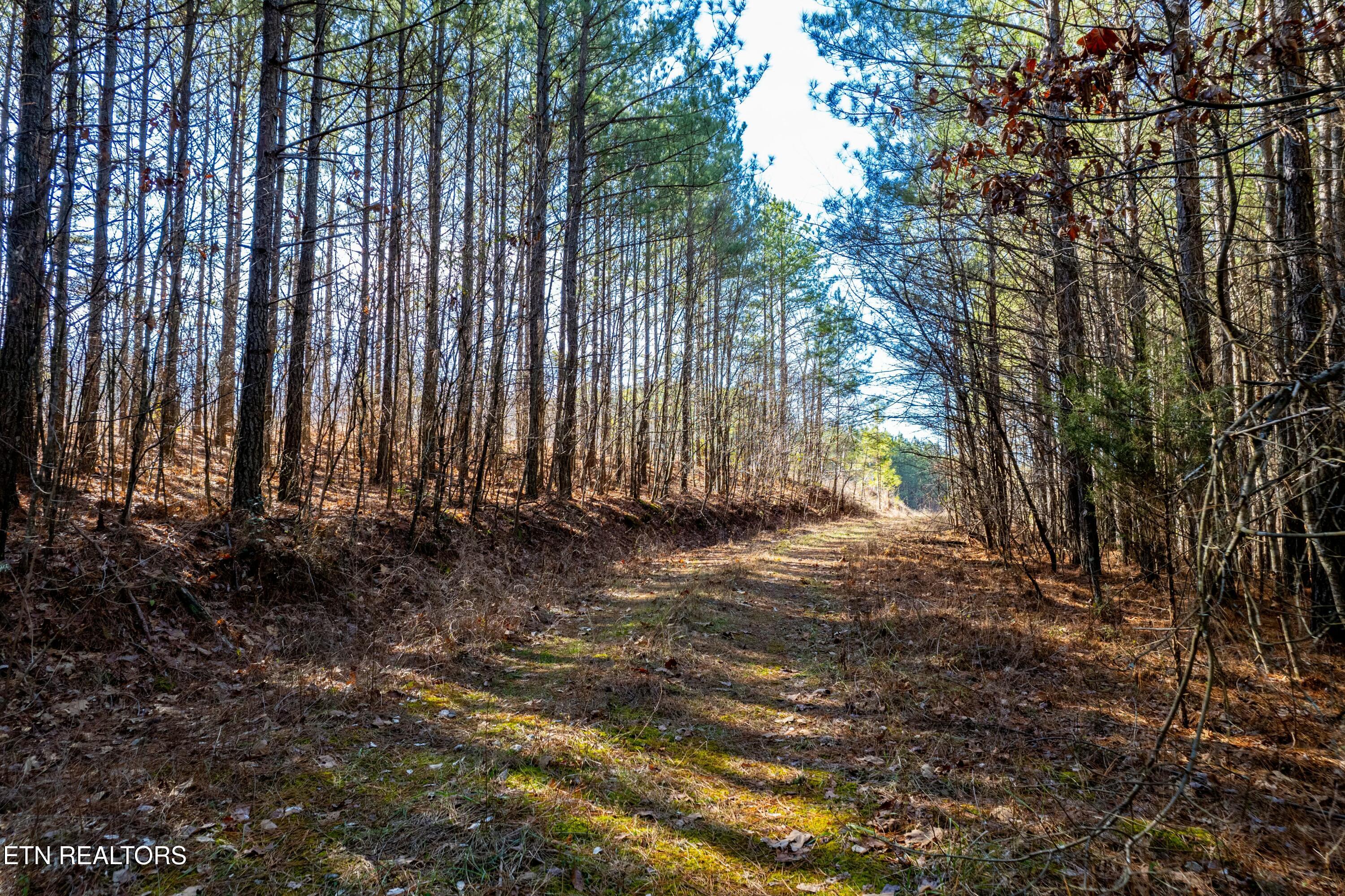 Airport Road Rockwood TN 37854