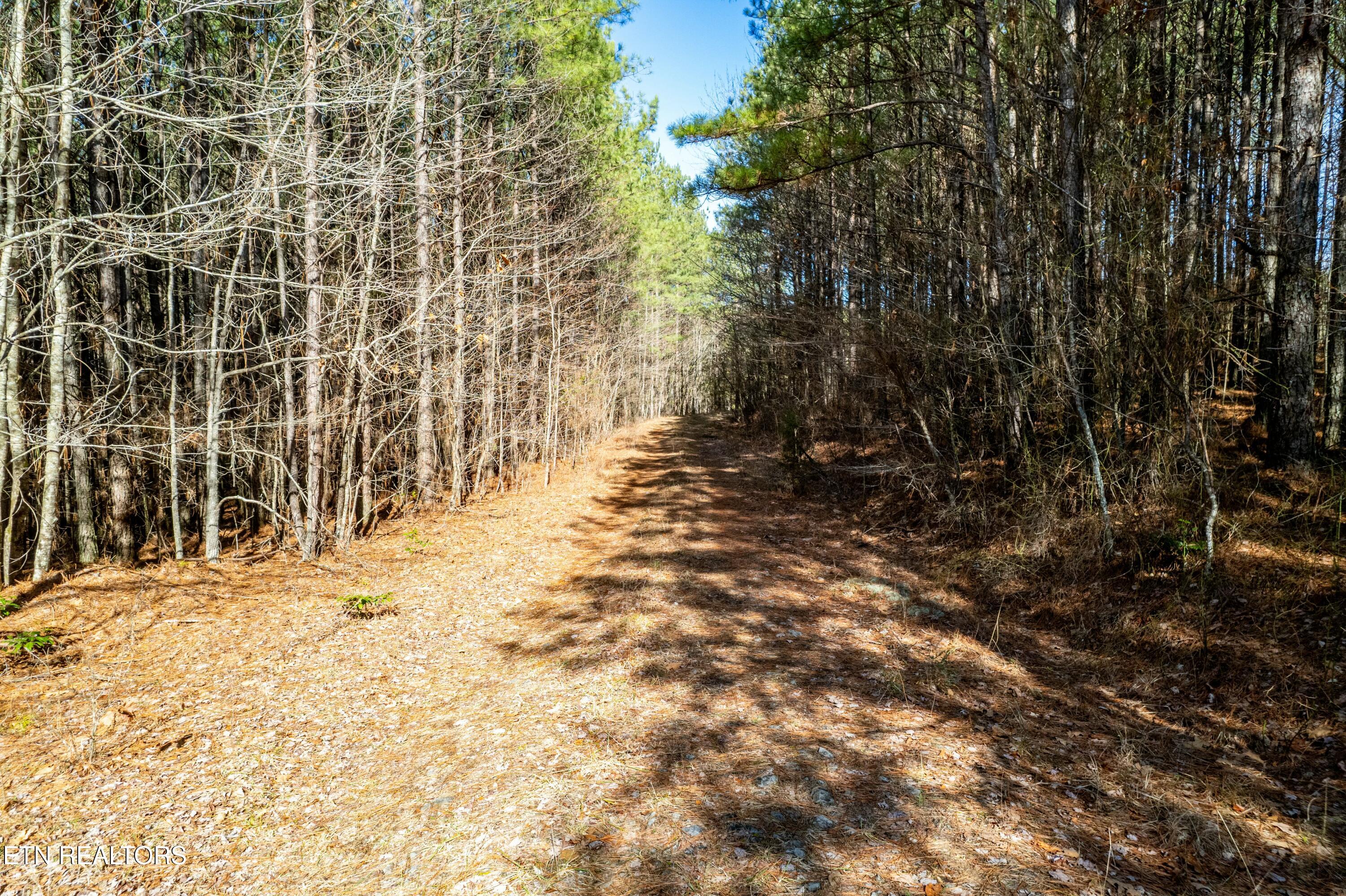 Airport Road Rockwood TN 37854