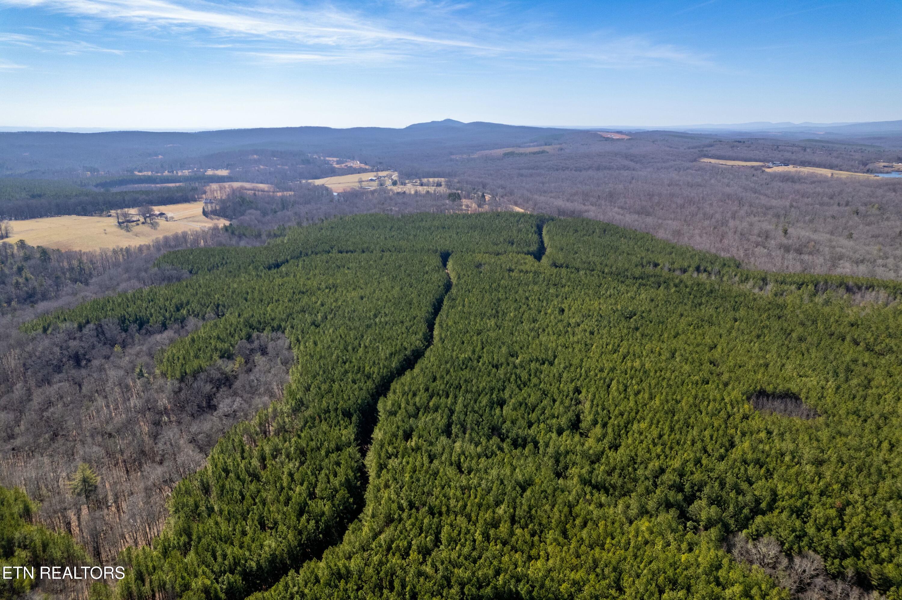 Airport Road Rockwood TN 37854