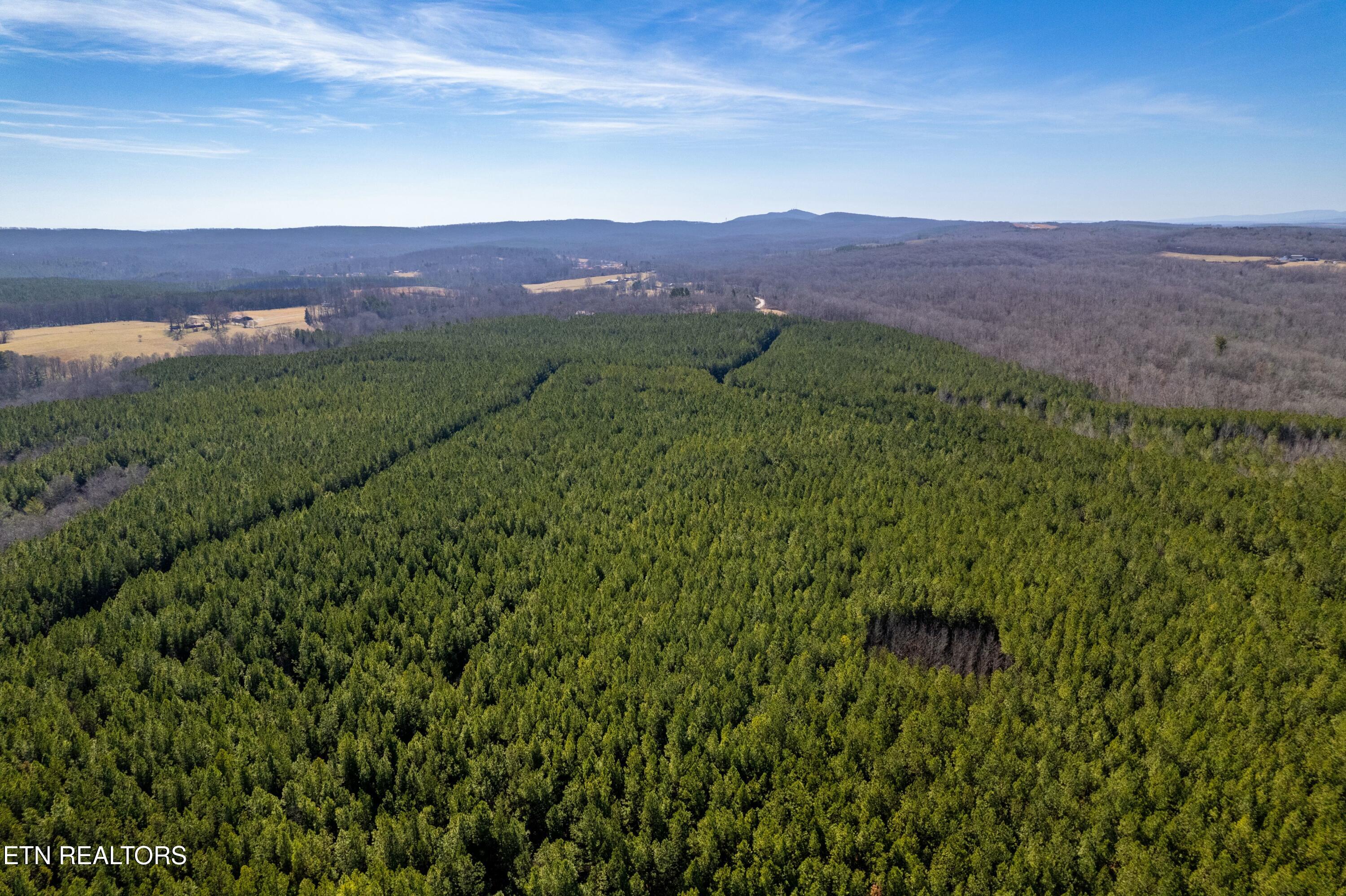 Airport Road Rockwood TN 37854