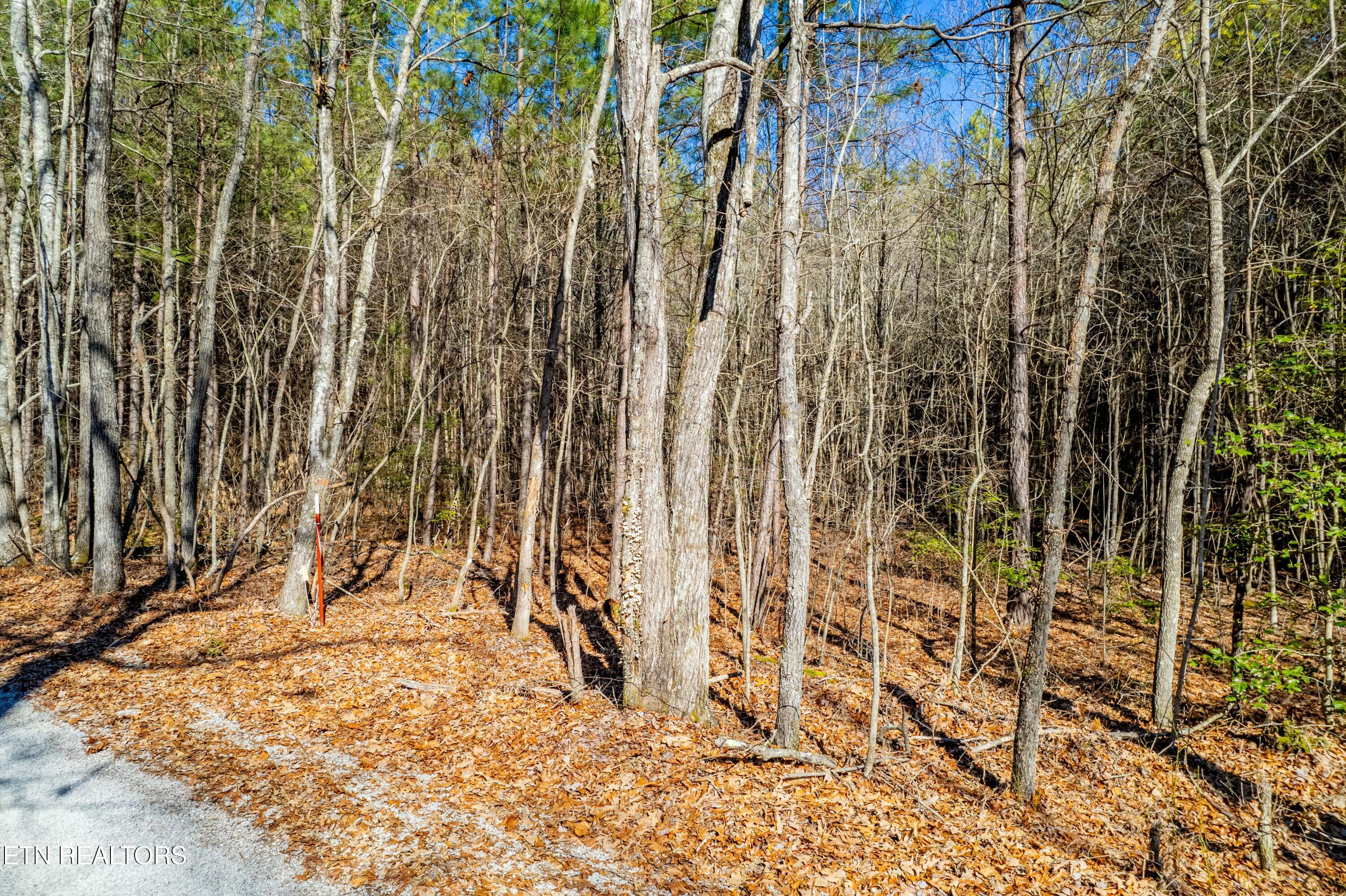 Airport Road Rockwood TN 37854