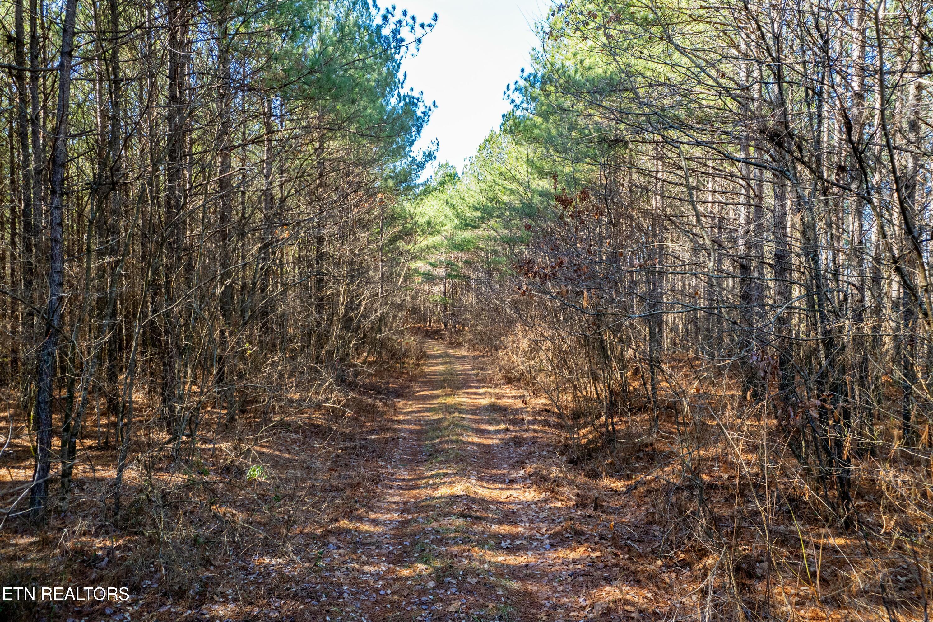Airport Road Rockwood TN 37854
