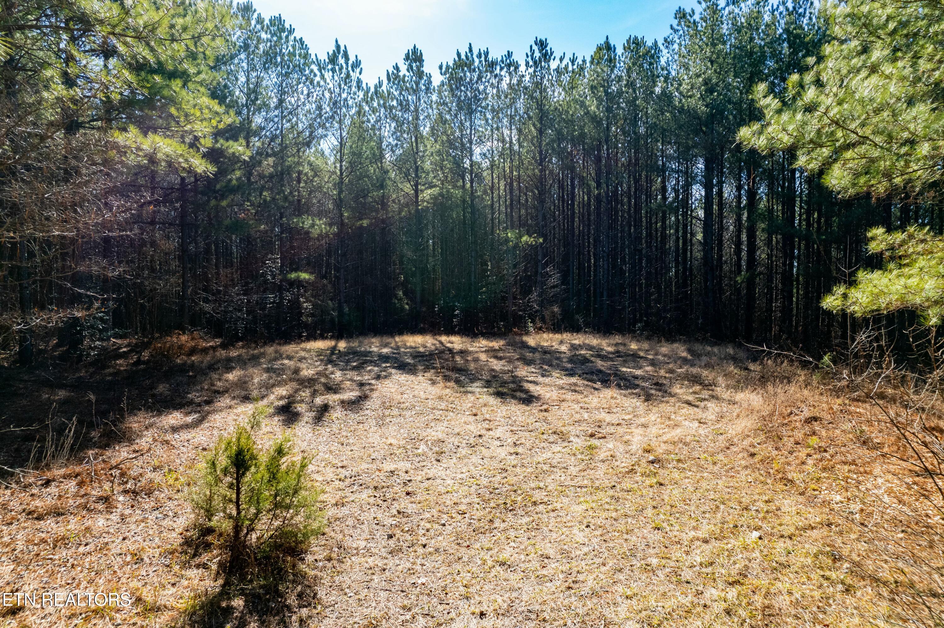 Airport Road Rockwood TN 37854