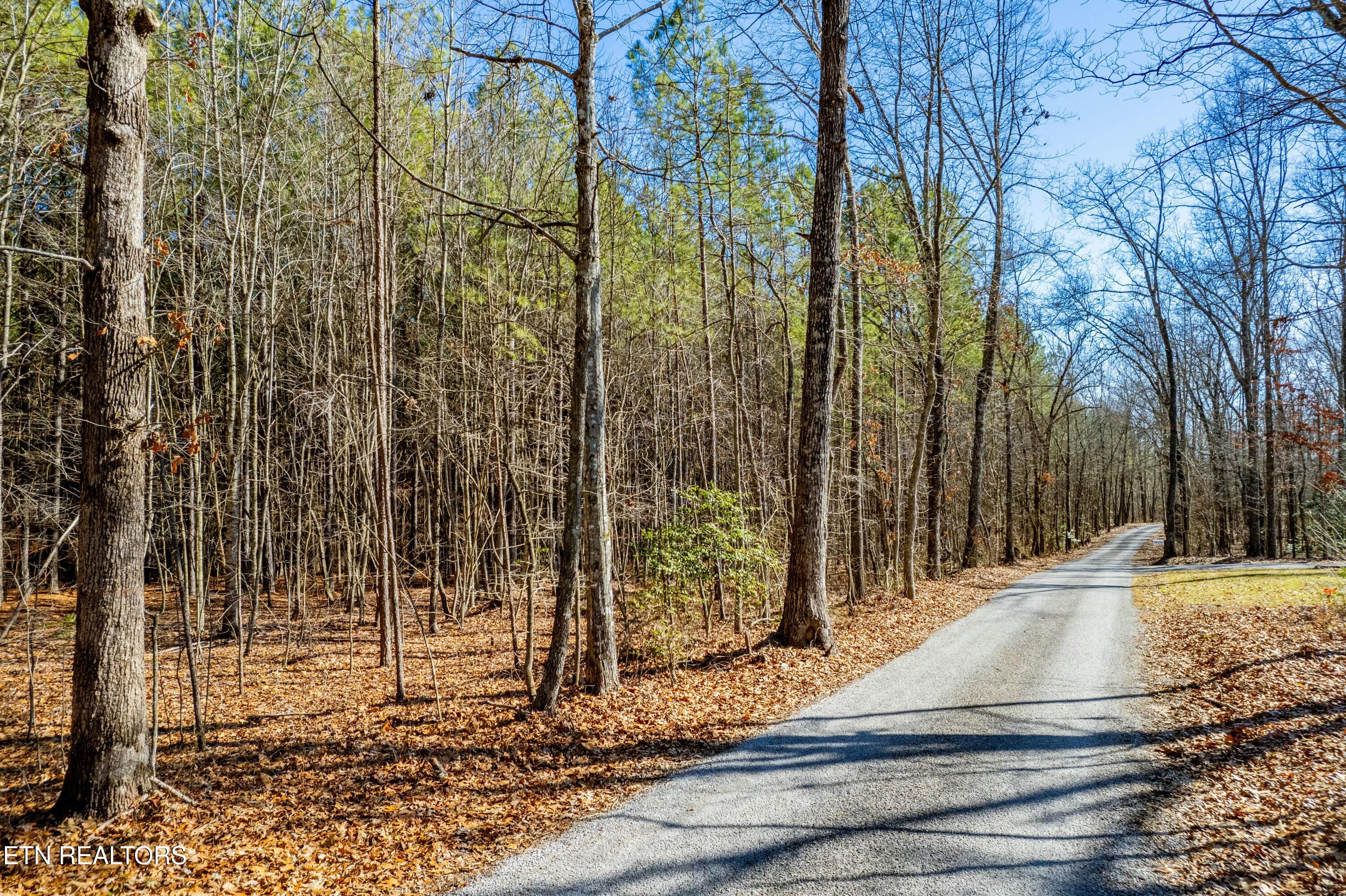 Airport Road Rockwood TN 37854