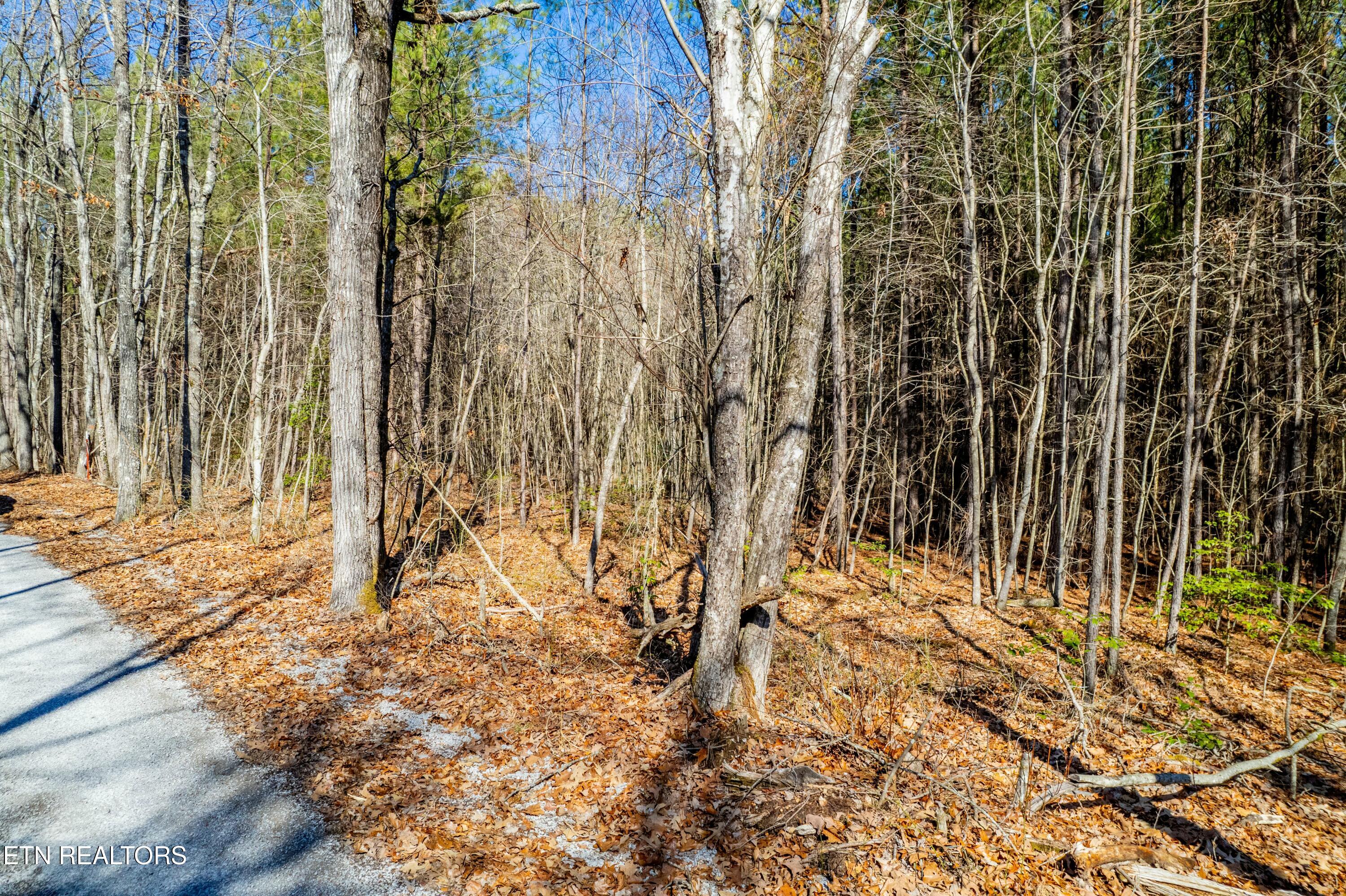 Airport Road Rockwood TN 37854
