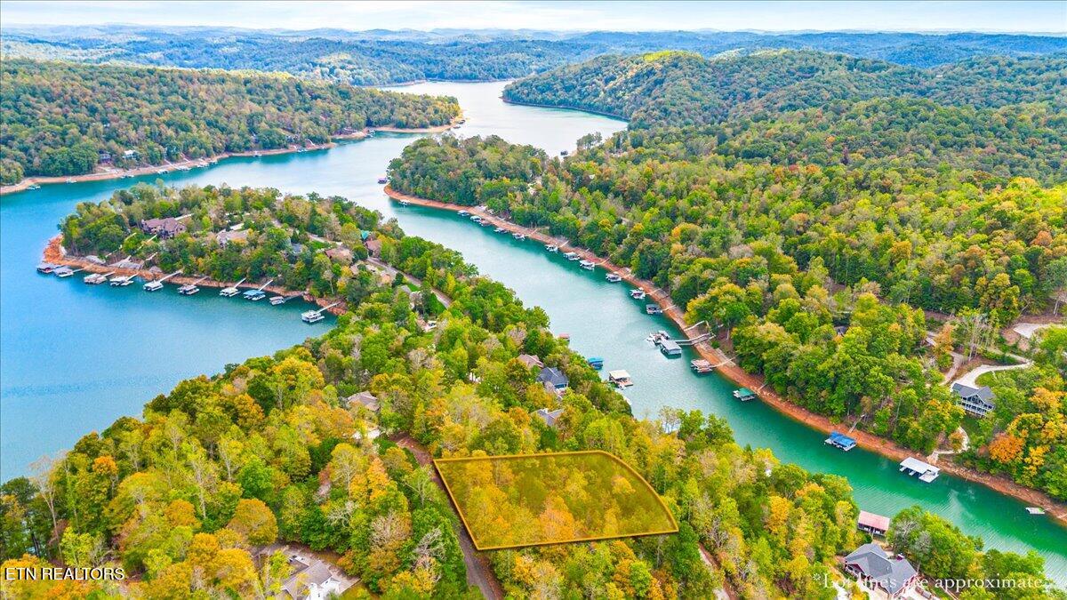 Lot 64 Stoney Rock Lane Jacksboro TN 37757