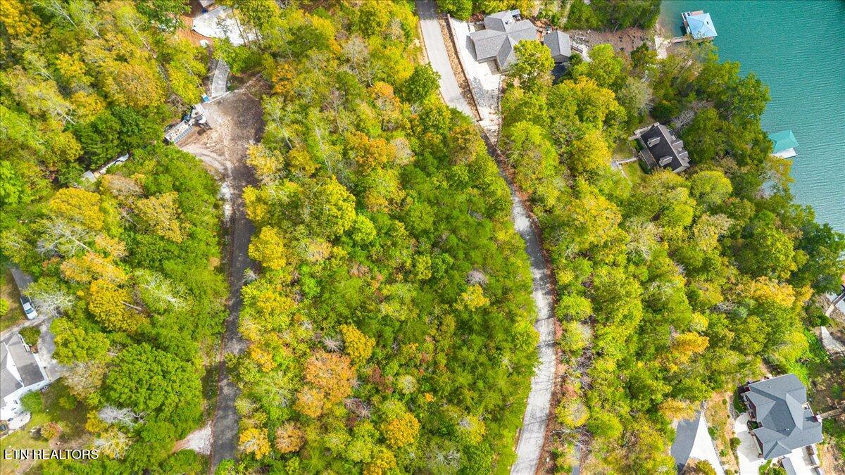 Lot 64 Stoney Rock Lane Jacksboro TN 37757