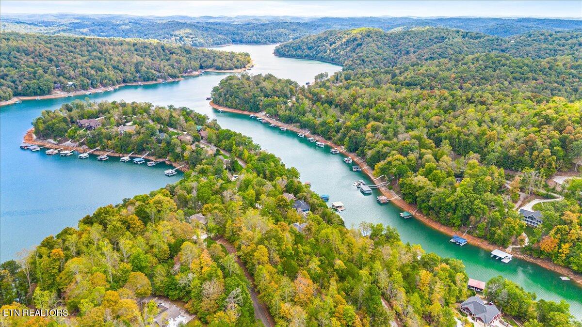 Lot 64 Stoney Rock Lane Jacksboro TN 37757