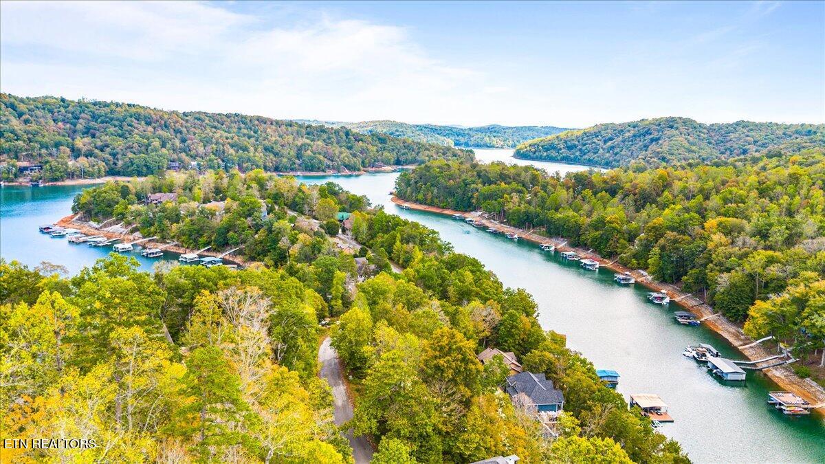 Lot 64 Stoney Rock Lane Jacksboro TN 37757