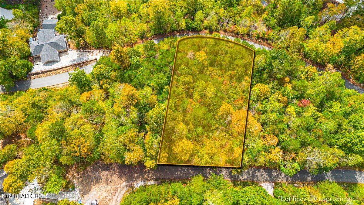 Lot 64 Stoney Rock Lane Jacksboro TN 37757