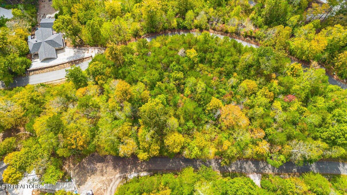 Lot 64 Stoney Rock Lane Jacksboro TN 37757
