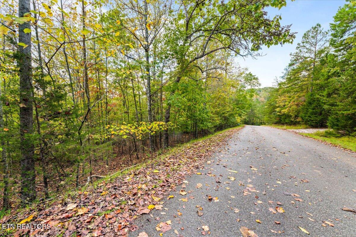 Lot 64 Stoney Rock Lane Jacksboro TN 37757