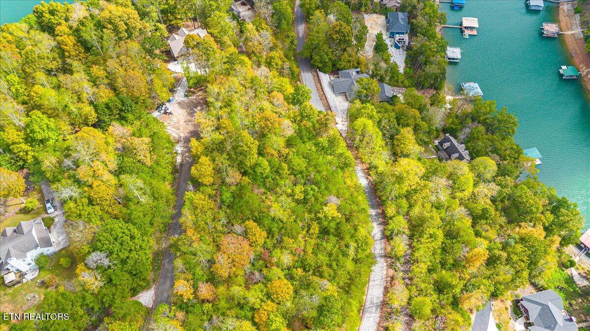 Lot 64 Stoney Rock Lane Jacksboro TN 37757