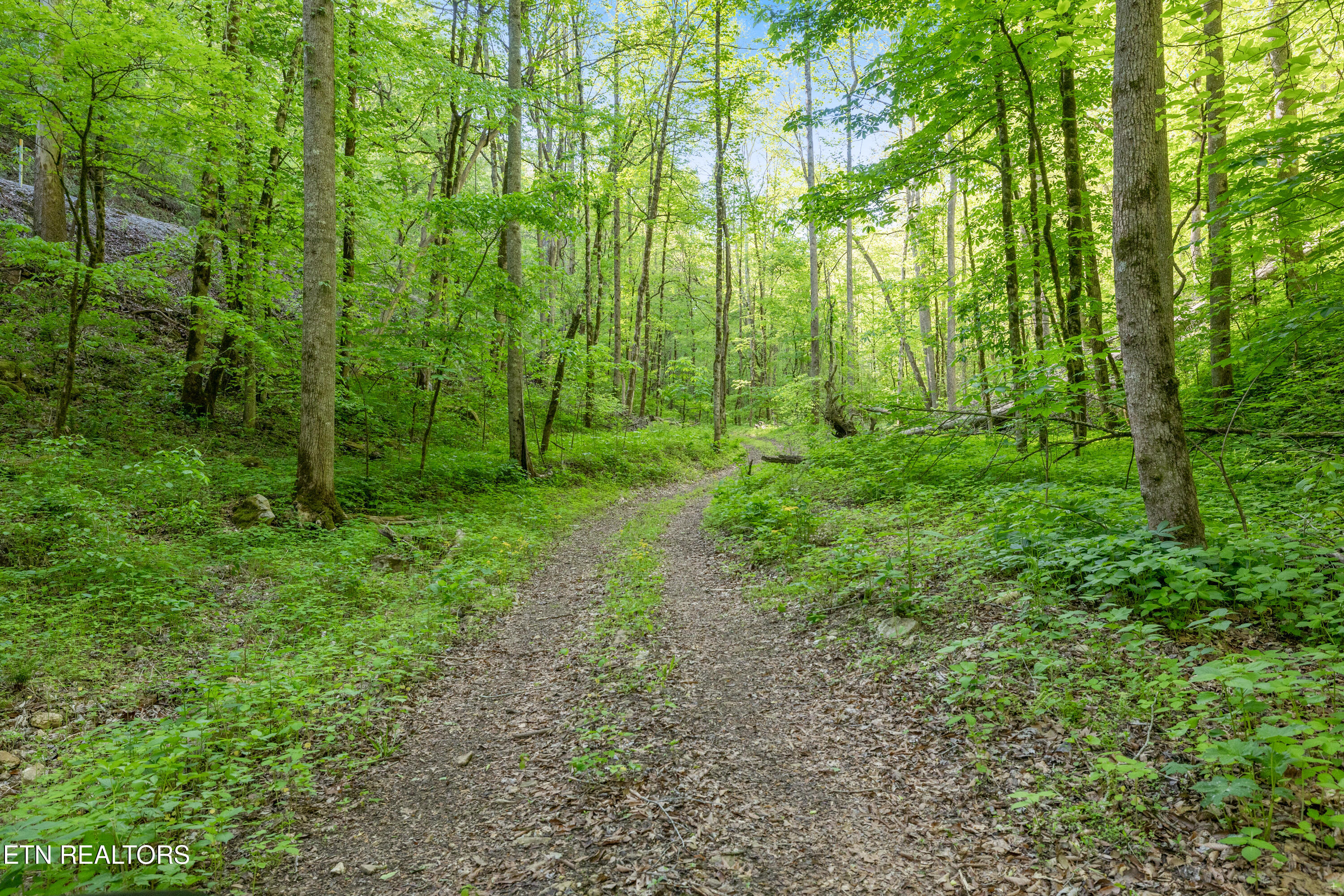 Bunch Hollow Road New Tazewell TN 37825