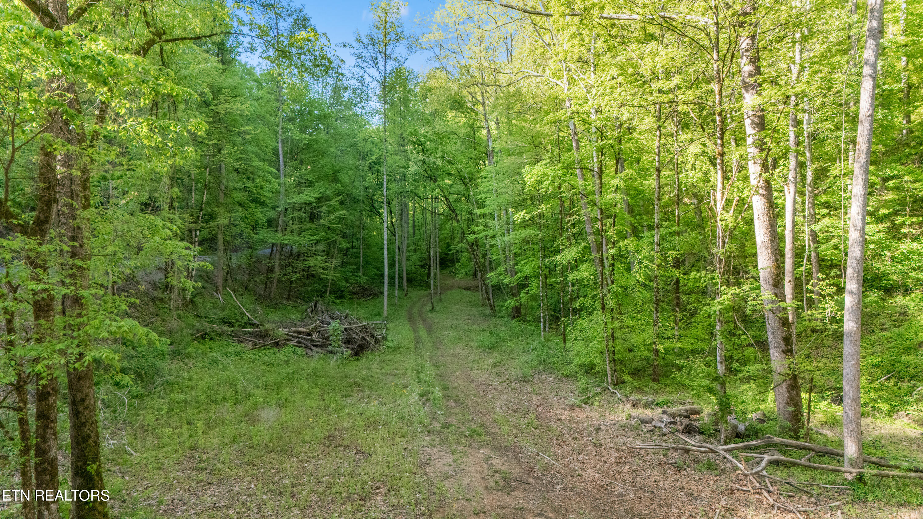 Bunch Hollow Road New Tazewell TN 37825