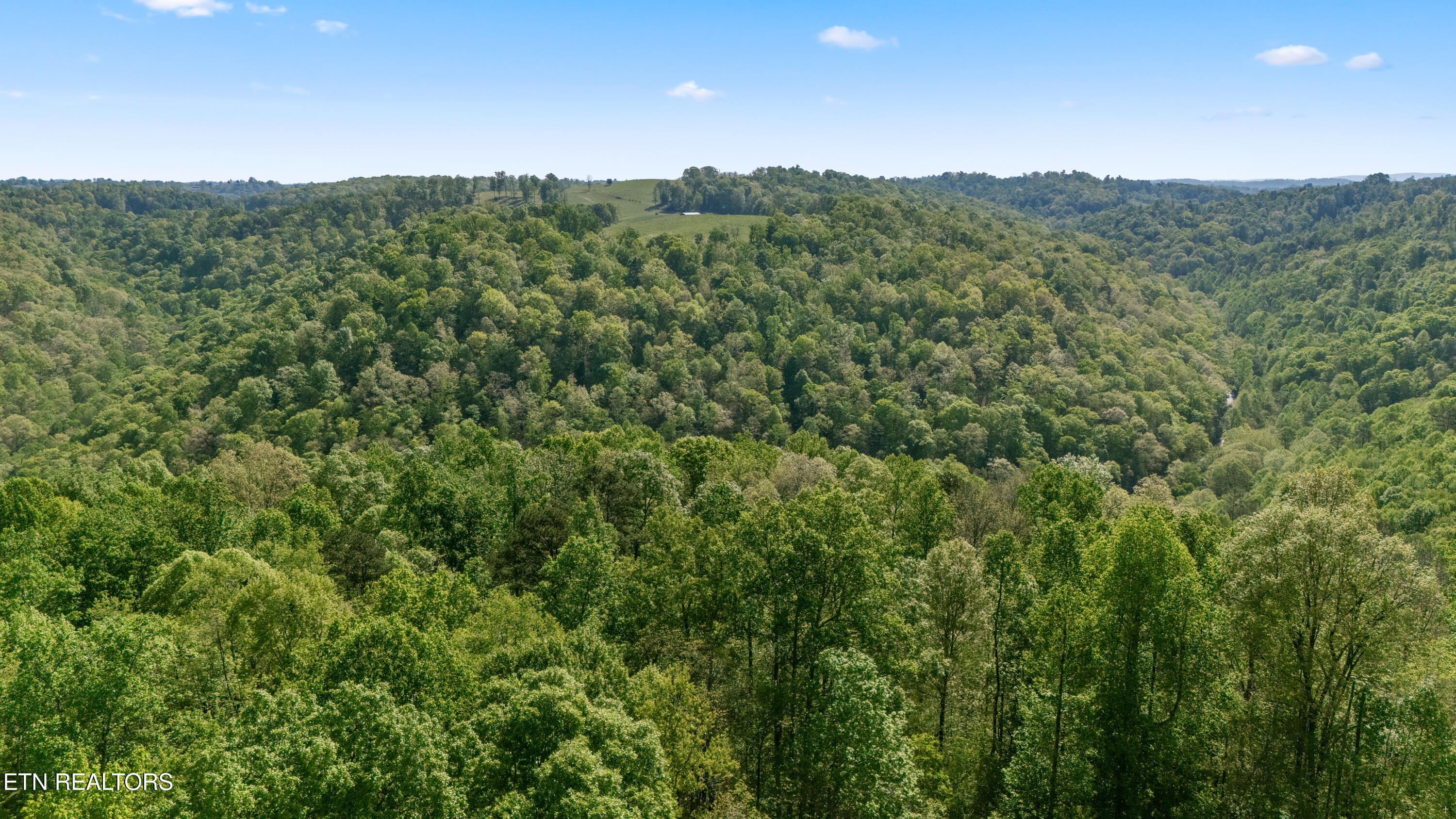Bunch Hollow Road New Tazewell TN 37825