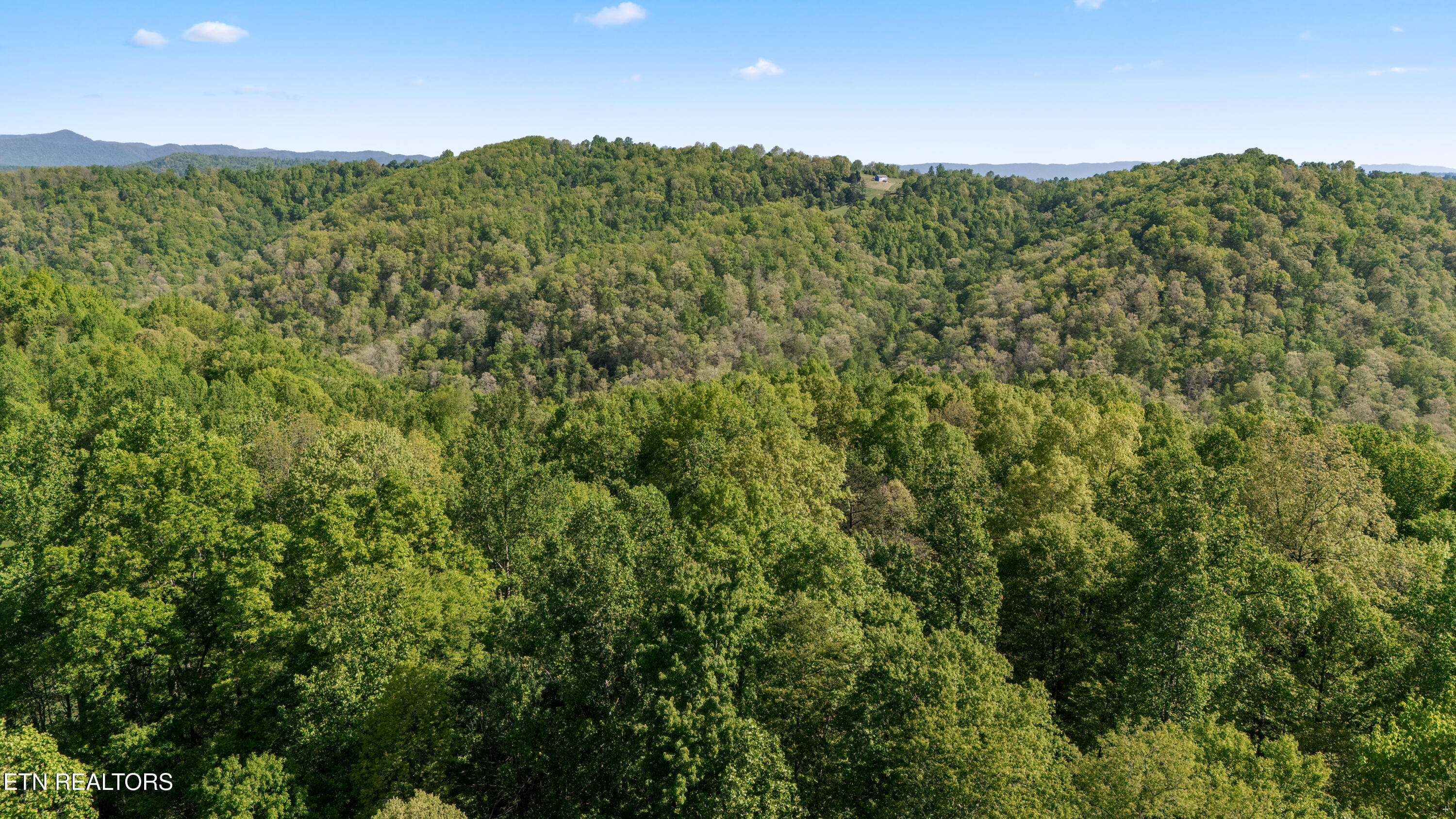 Bunch Hollow Road New Tazewell TN 37825