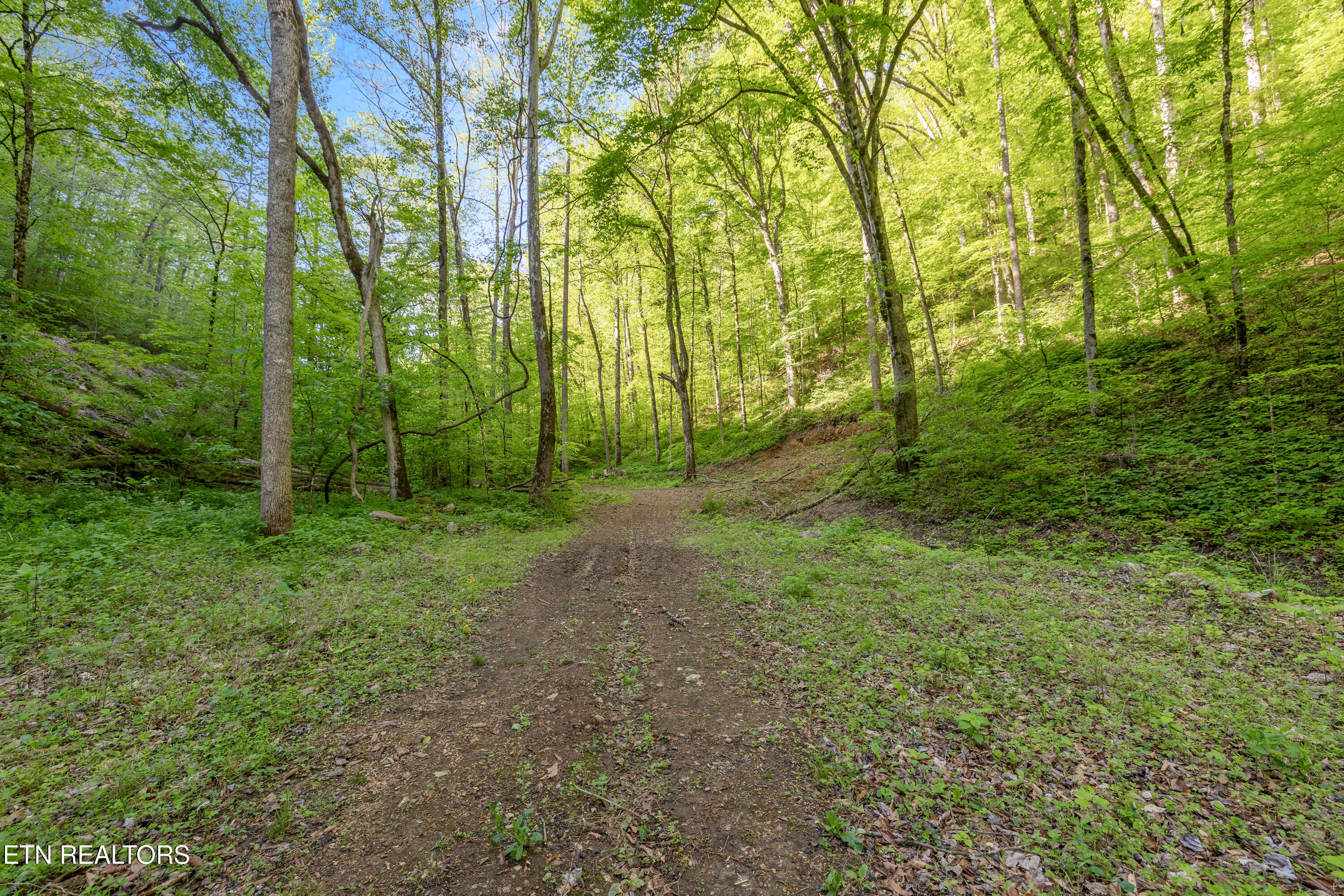 Bunch Hollow Road New Tazewell TN 37825