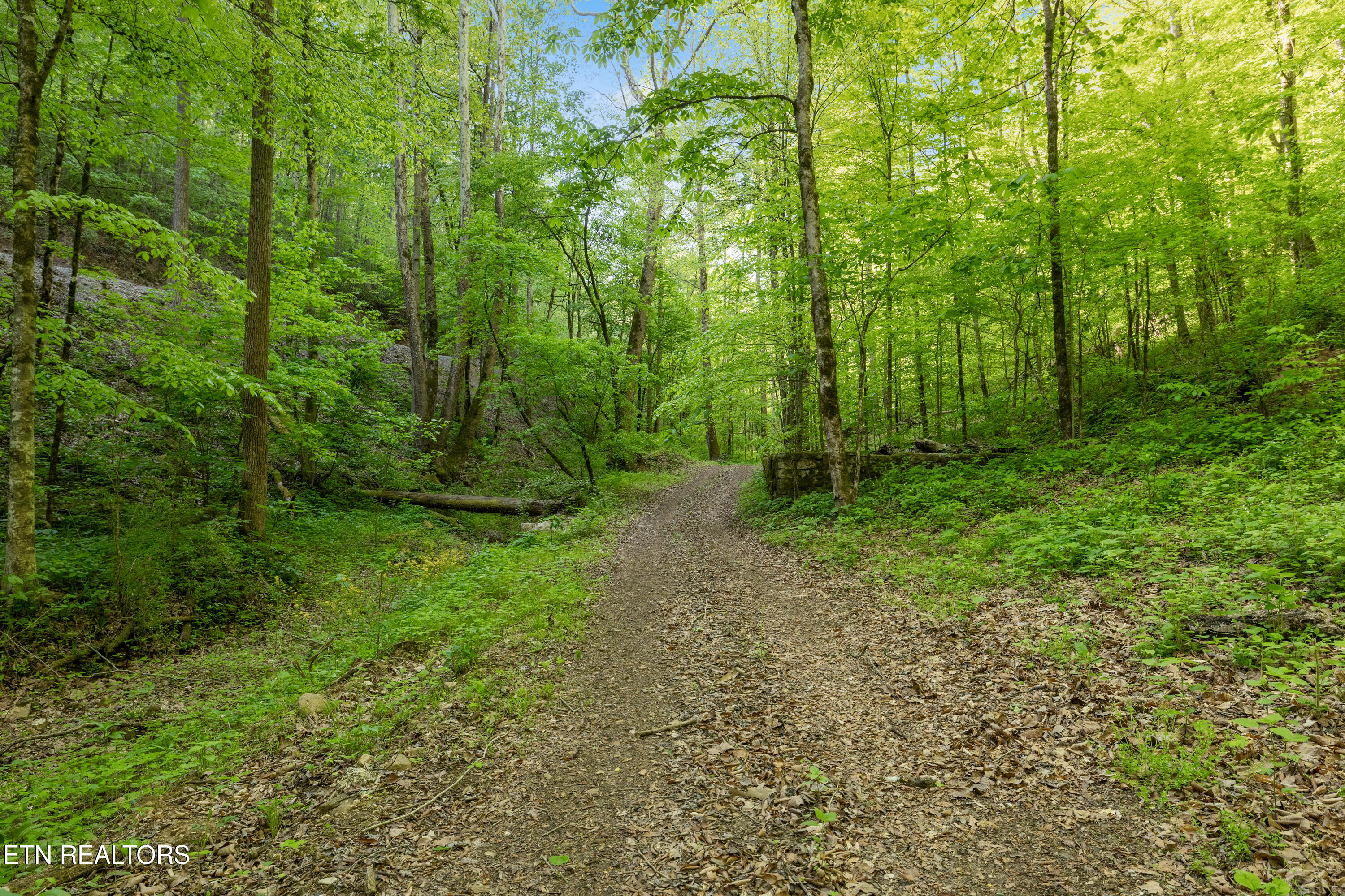 Bunch Hollow Road New Tazewell TN 37825