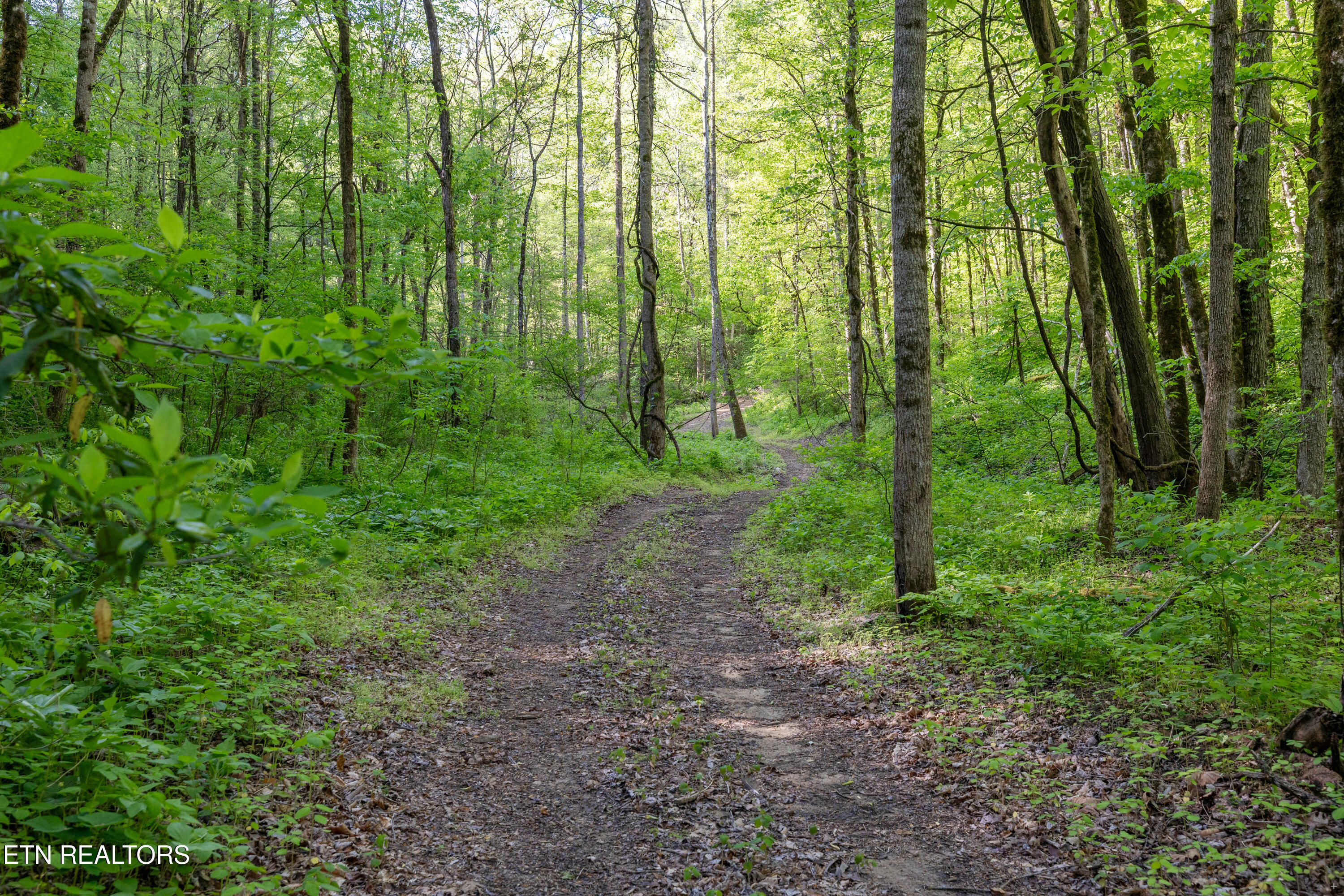 Bunch Hollow Road New Tazewell TN 37825