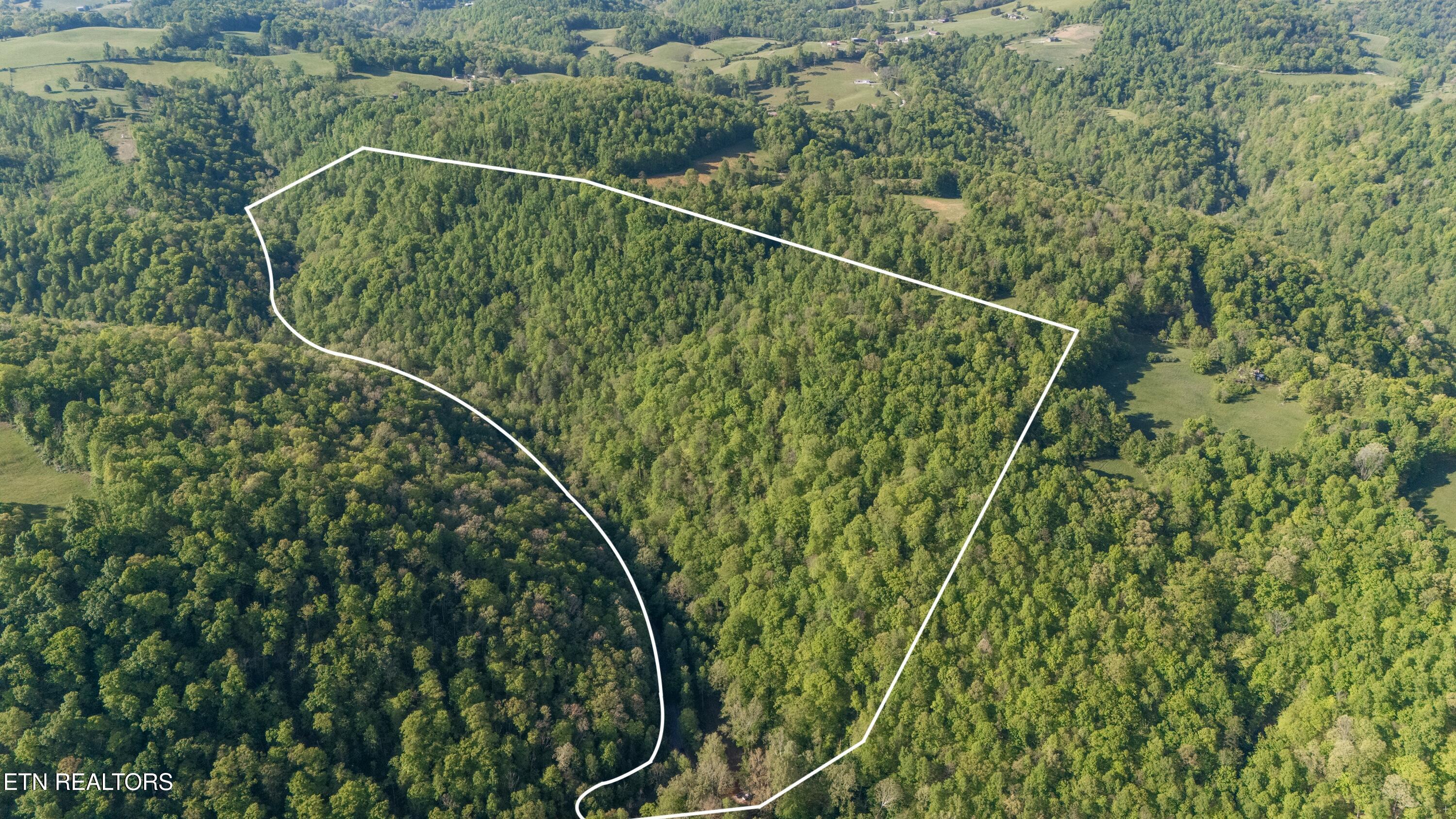 Bunch Hollow Road New Tazewell TN 37825