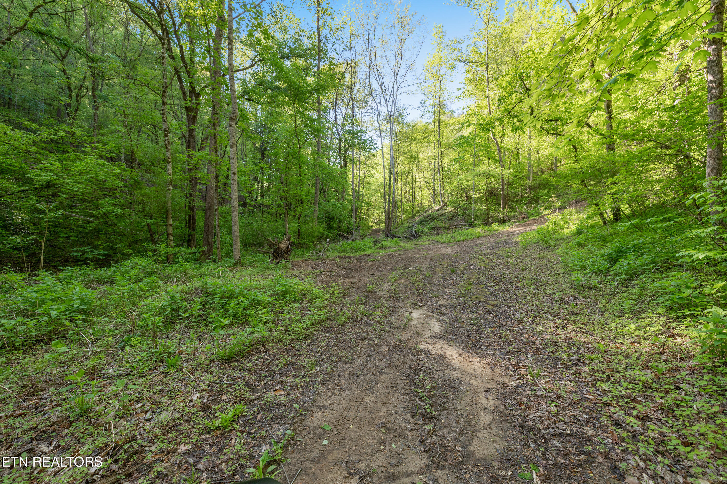 Bunch Hollow Road New Tazewell TN 37825