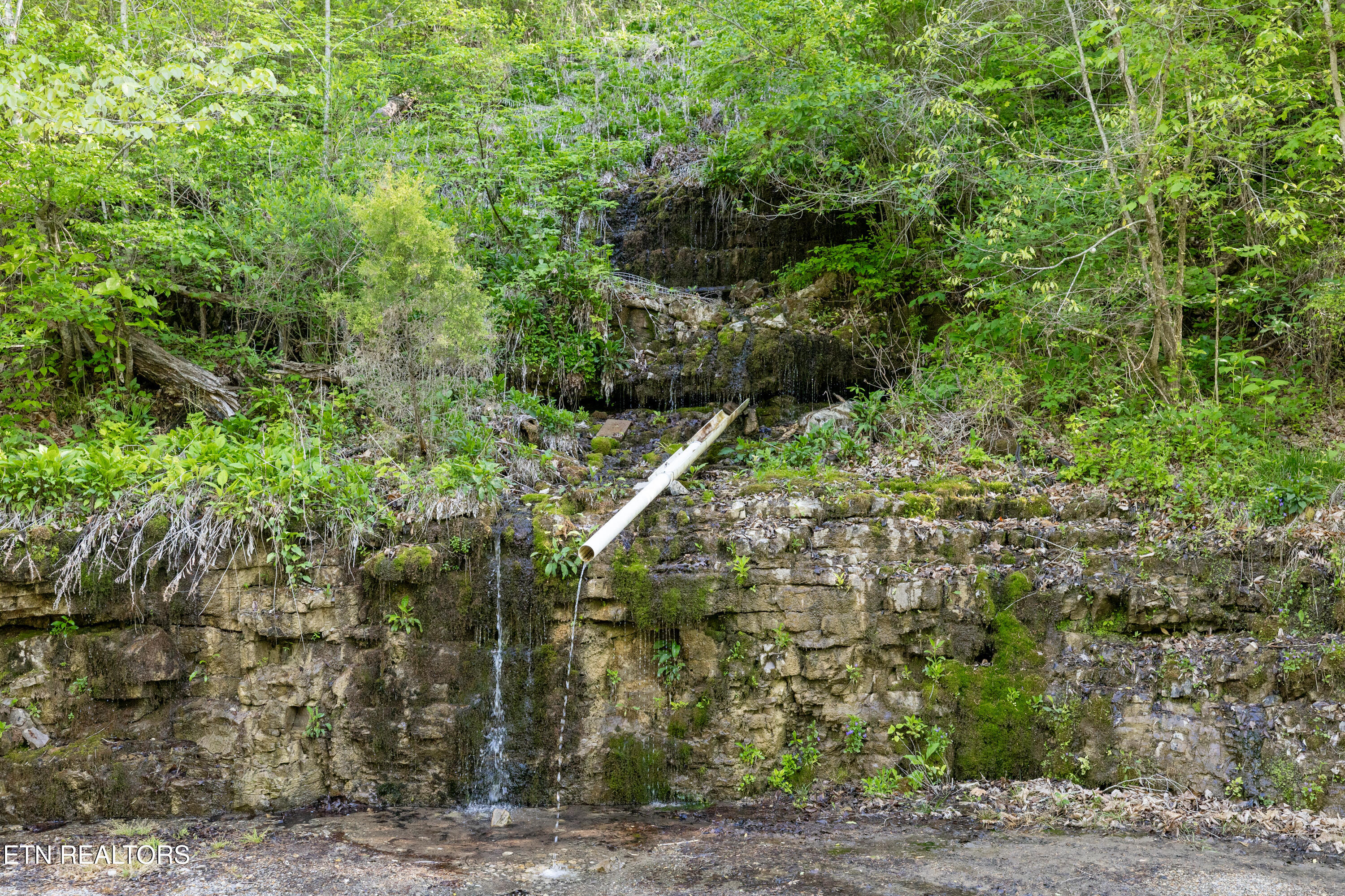 Bunch Hollow Road New Tazewell TN 37825