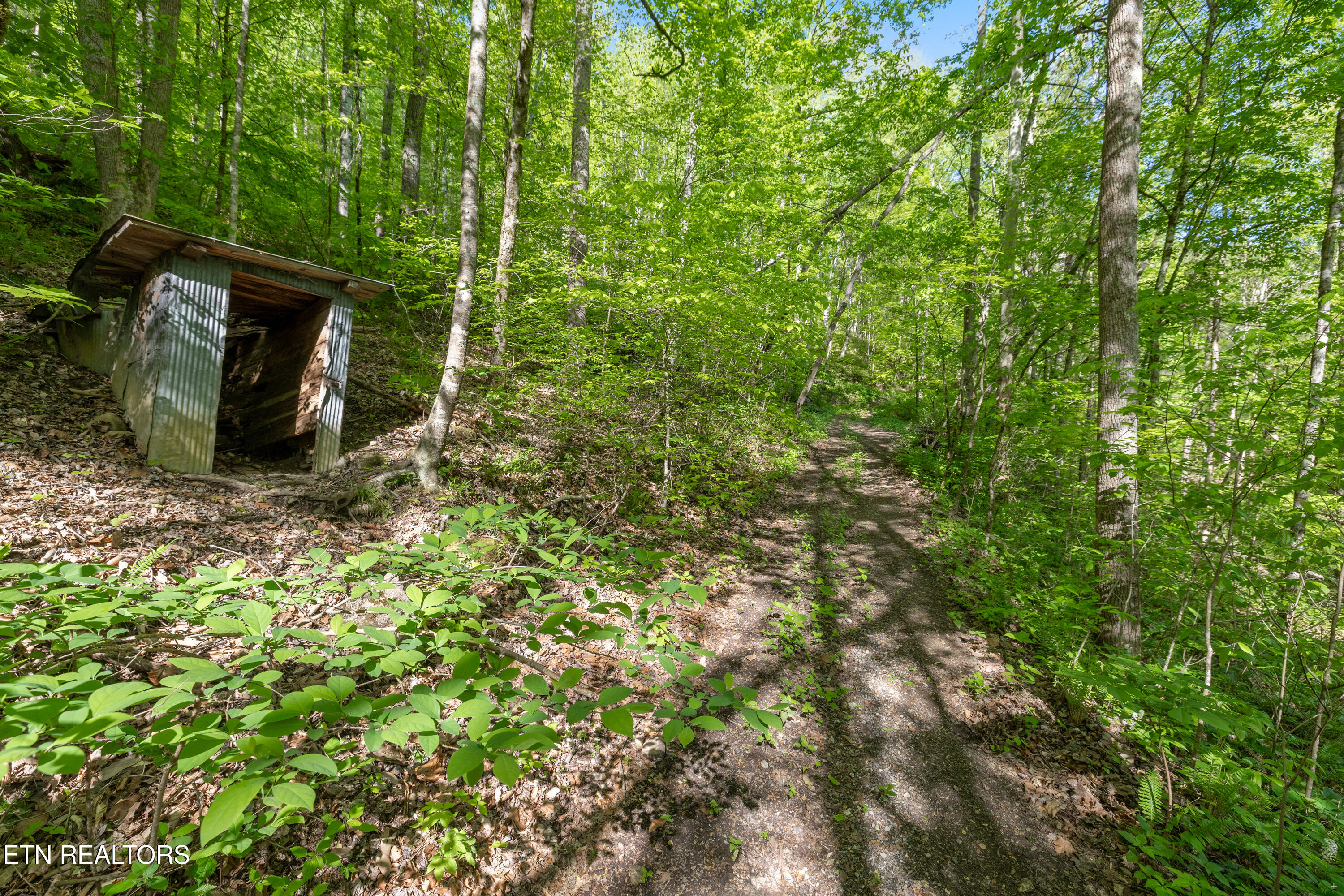 Bunch Hollow Road New Tazewell TN 37825