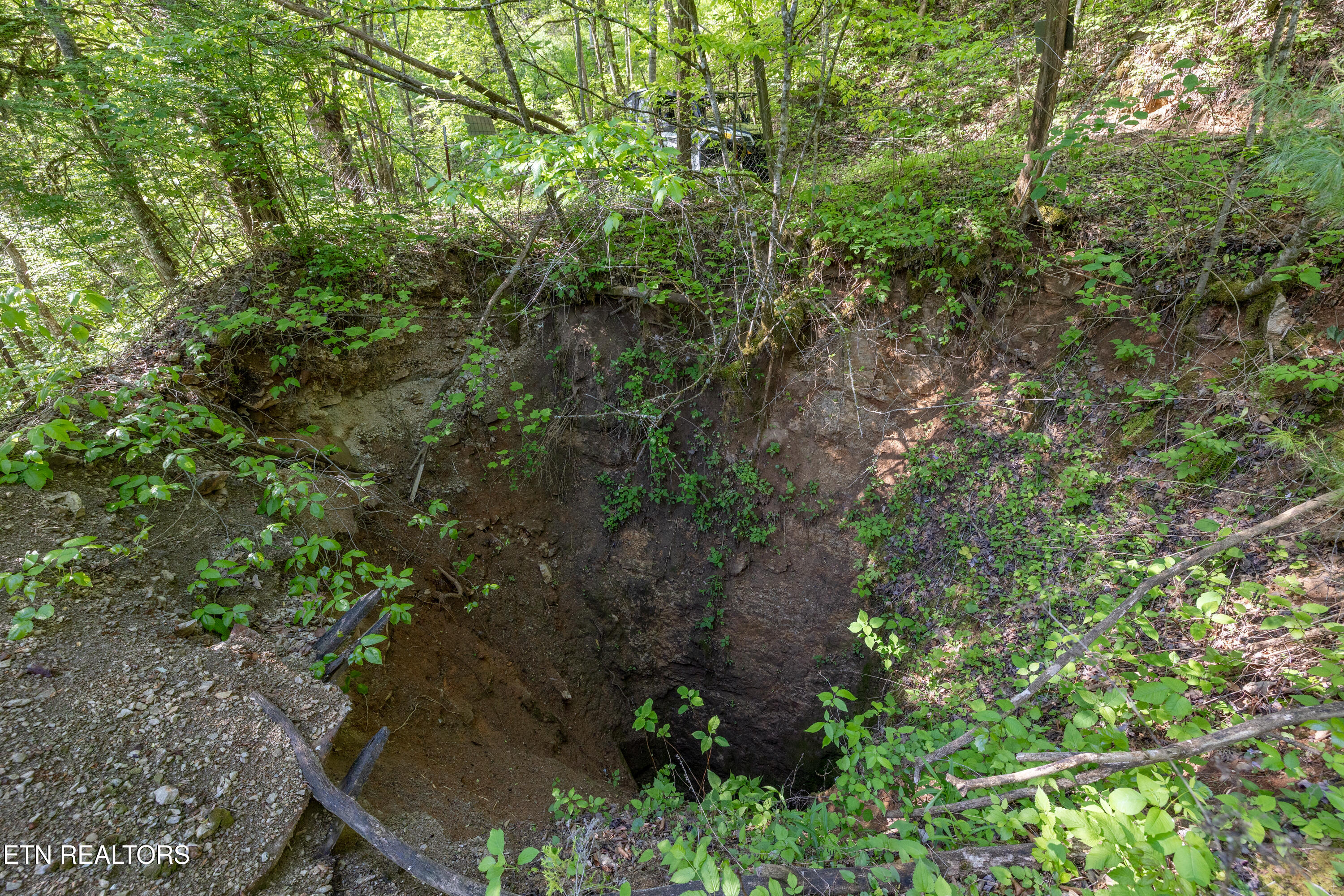 Bunch Hollow Road New Tazewell TN 37825