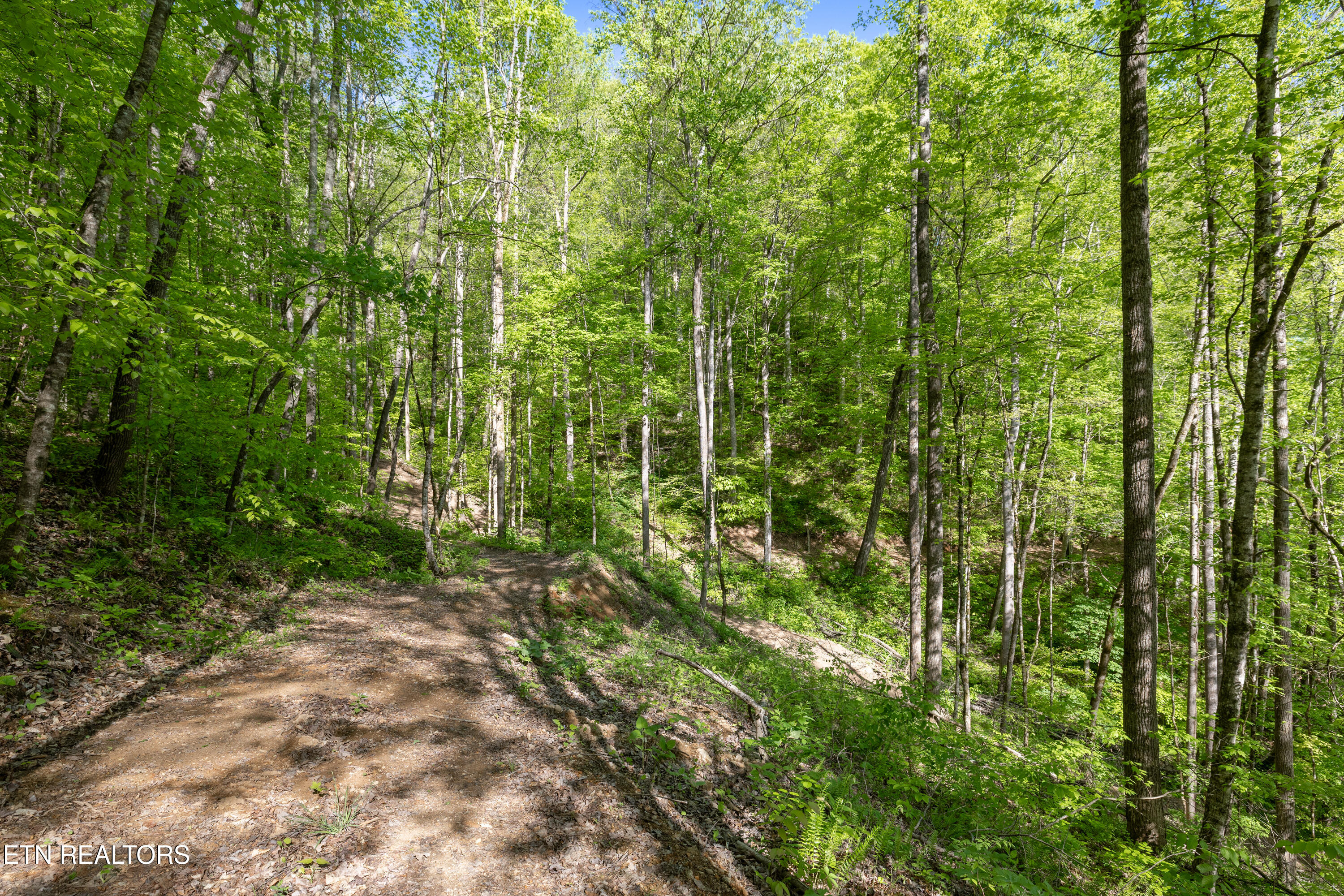 Bunch Hollow Road New Tazewell TN 37825