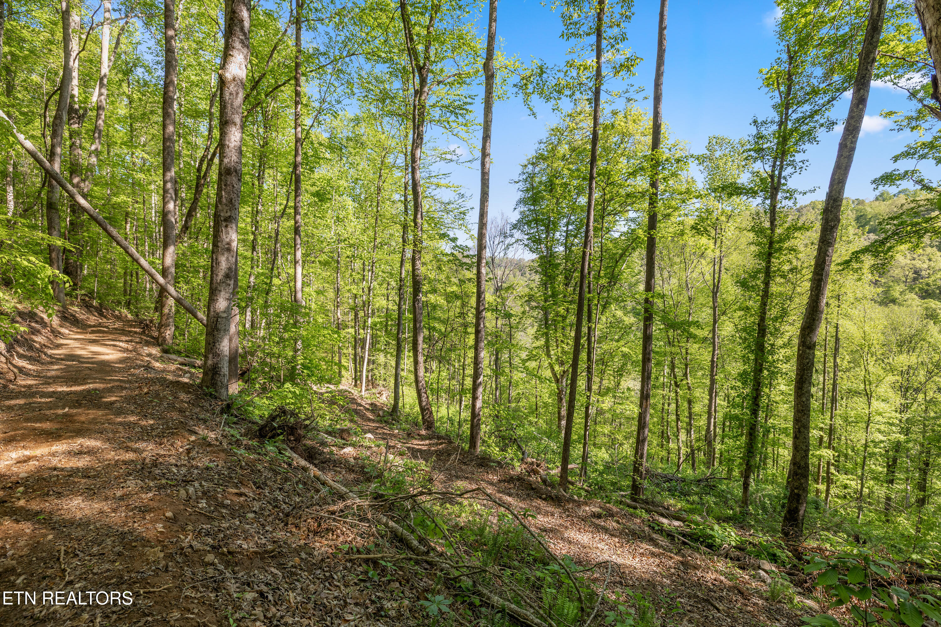 Bunch Hollow Road New Tazewell TN 37825