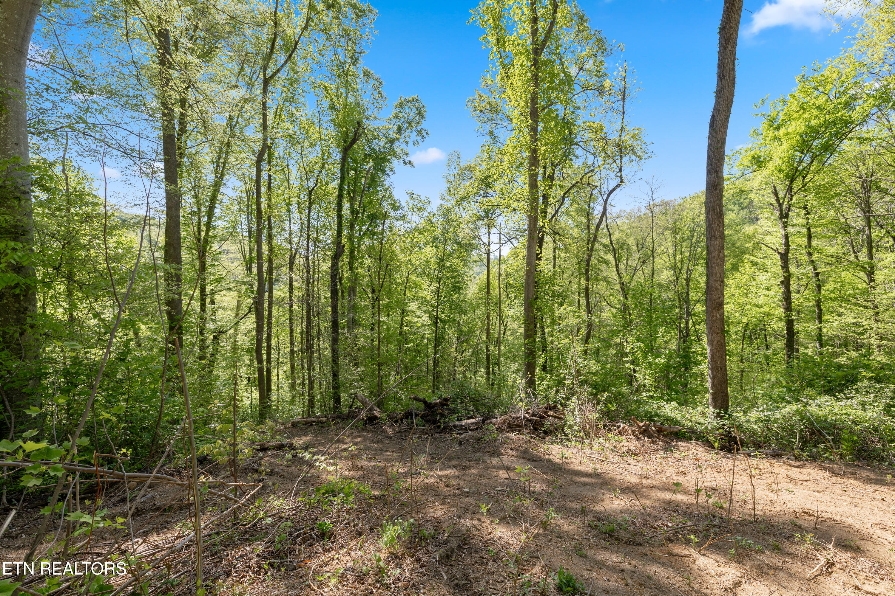 Bunch Hollow Road New Tazewell TN 37825