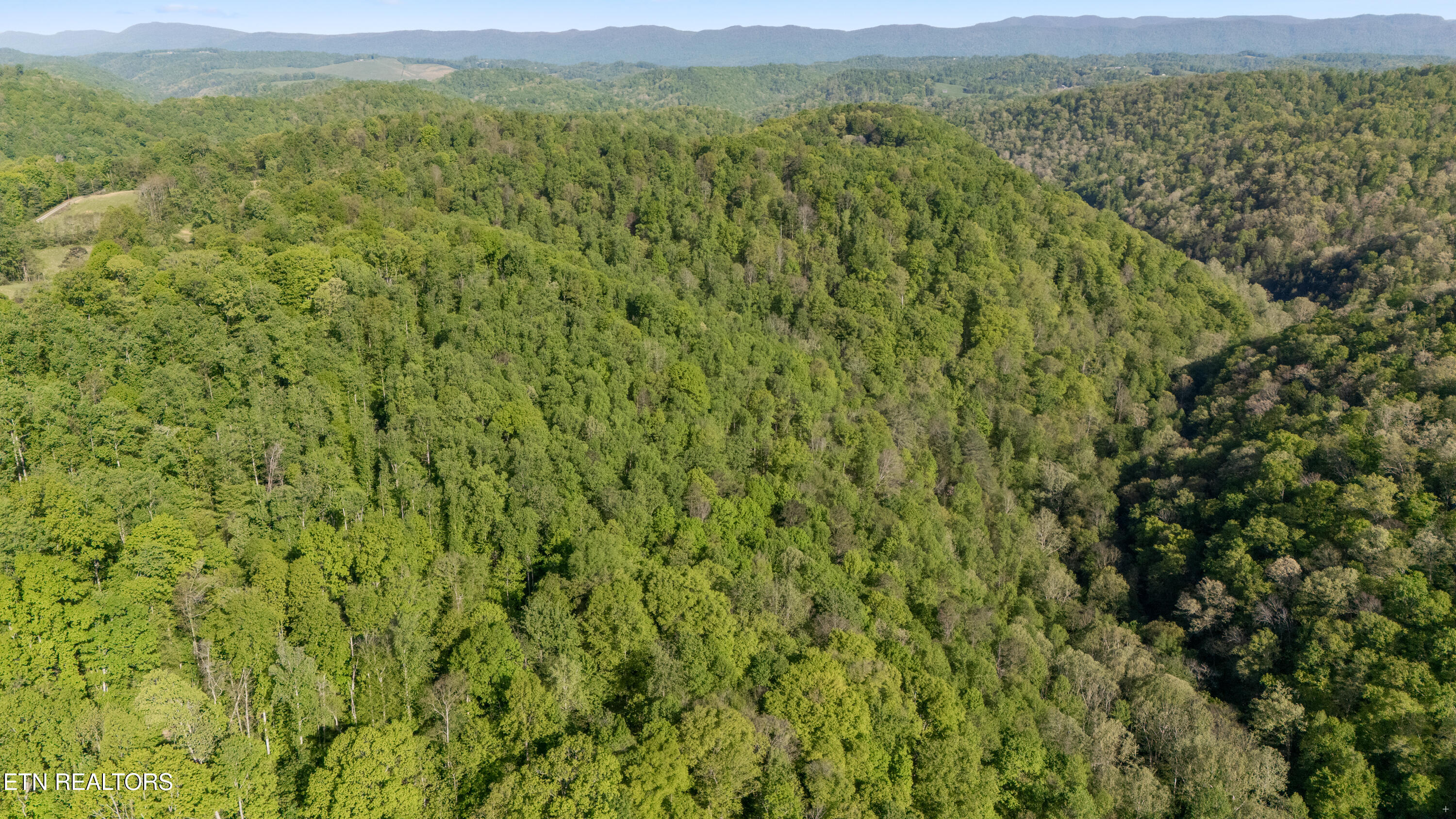 Bunch Hollow Road New Tazewell TN 37825