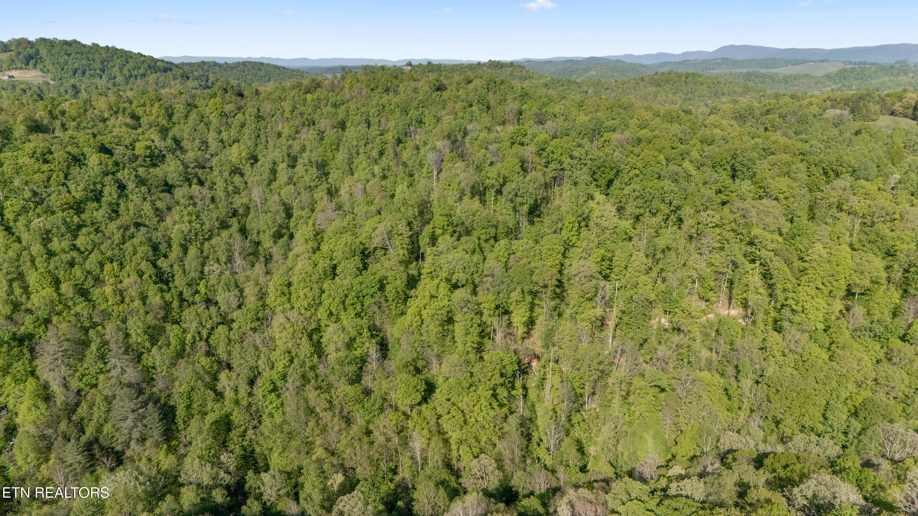 Bunch Hollow Road New Tazewell TN 37825