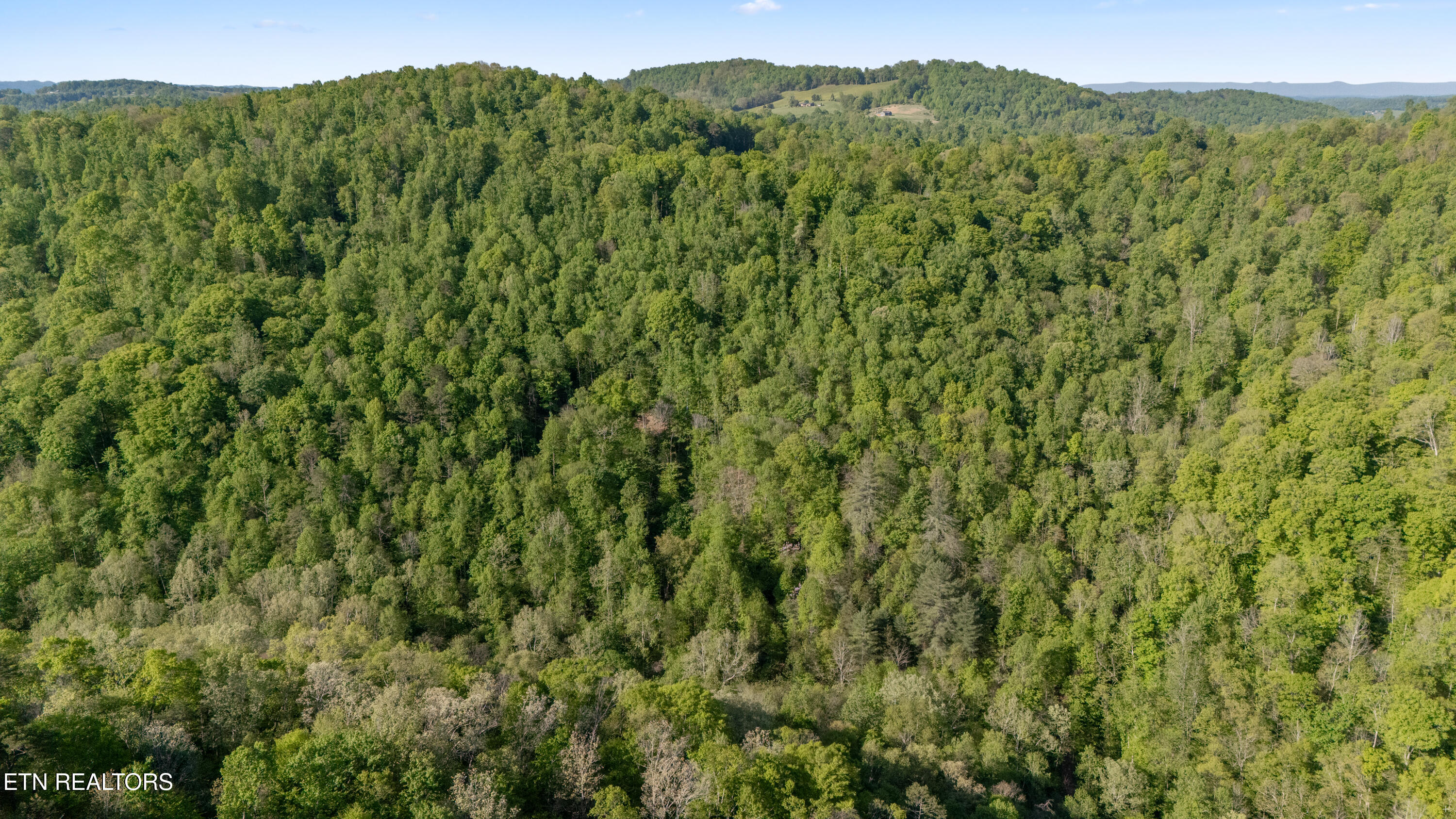 Bunch Hollow Road New Tazewell TN 37825