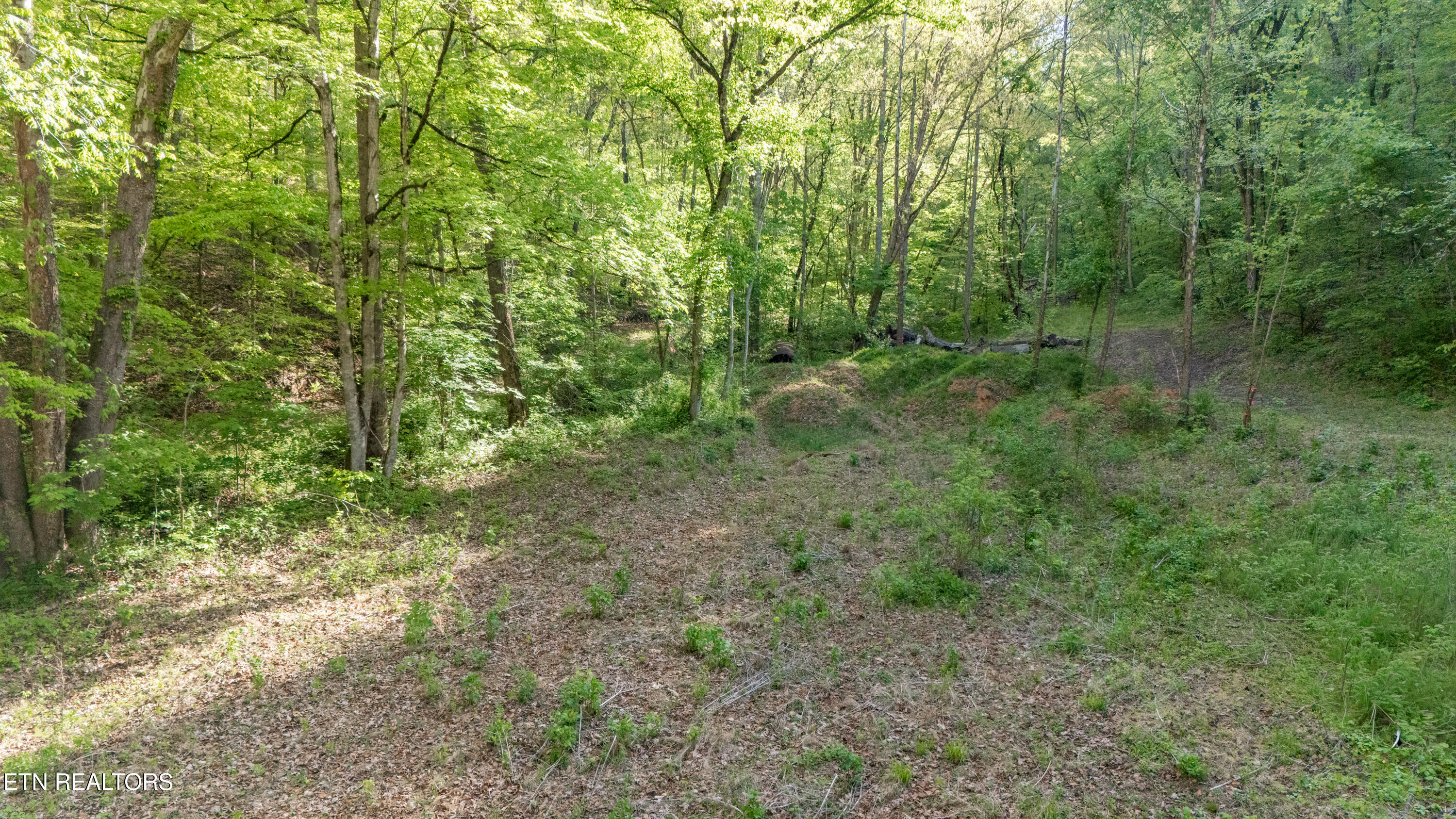 Bunch Hollow Road New Tazewell TN 37825