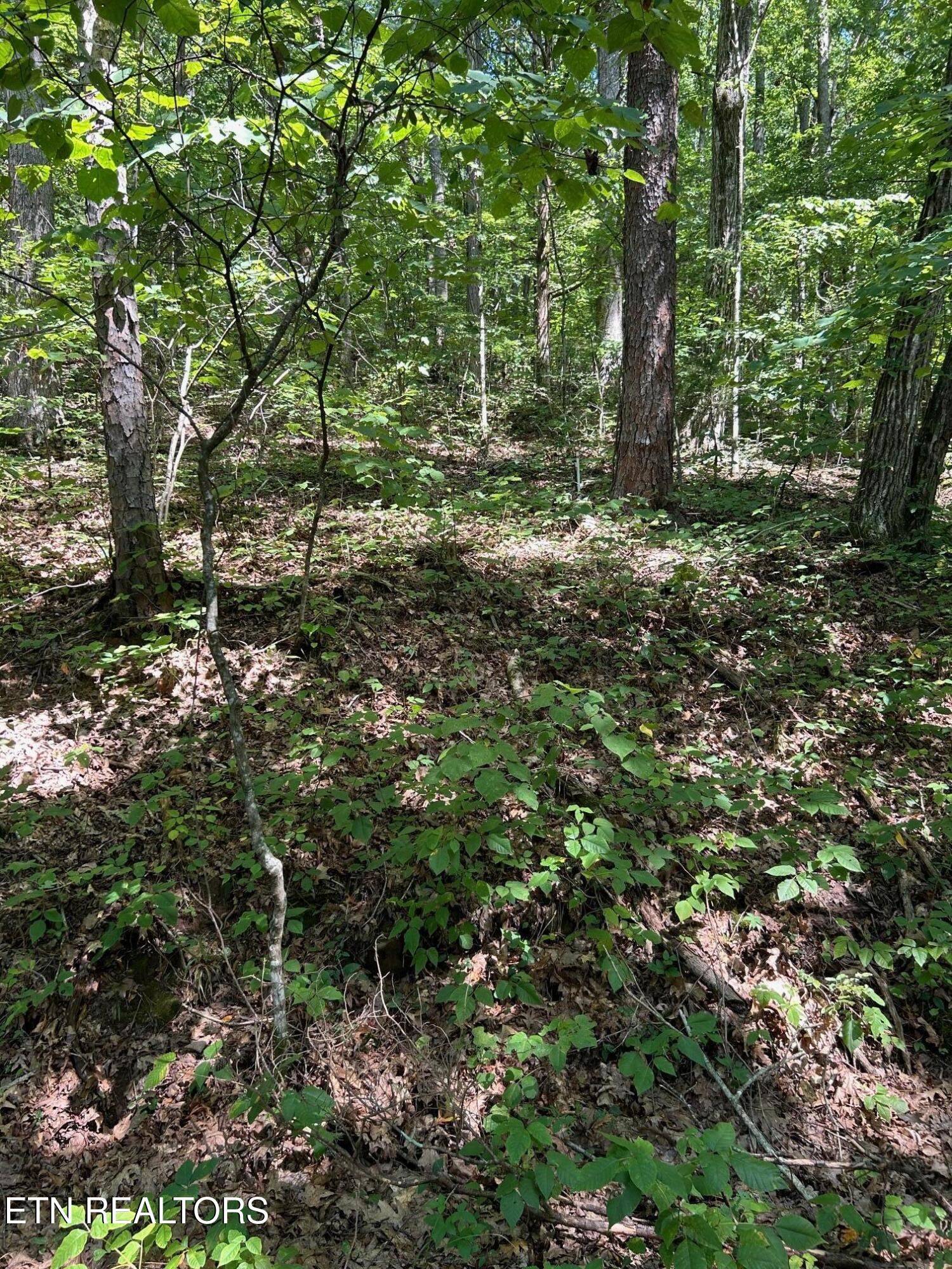 Laurel Mountain Circle Madisonville TN 37354
