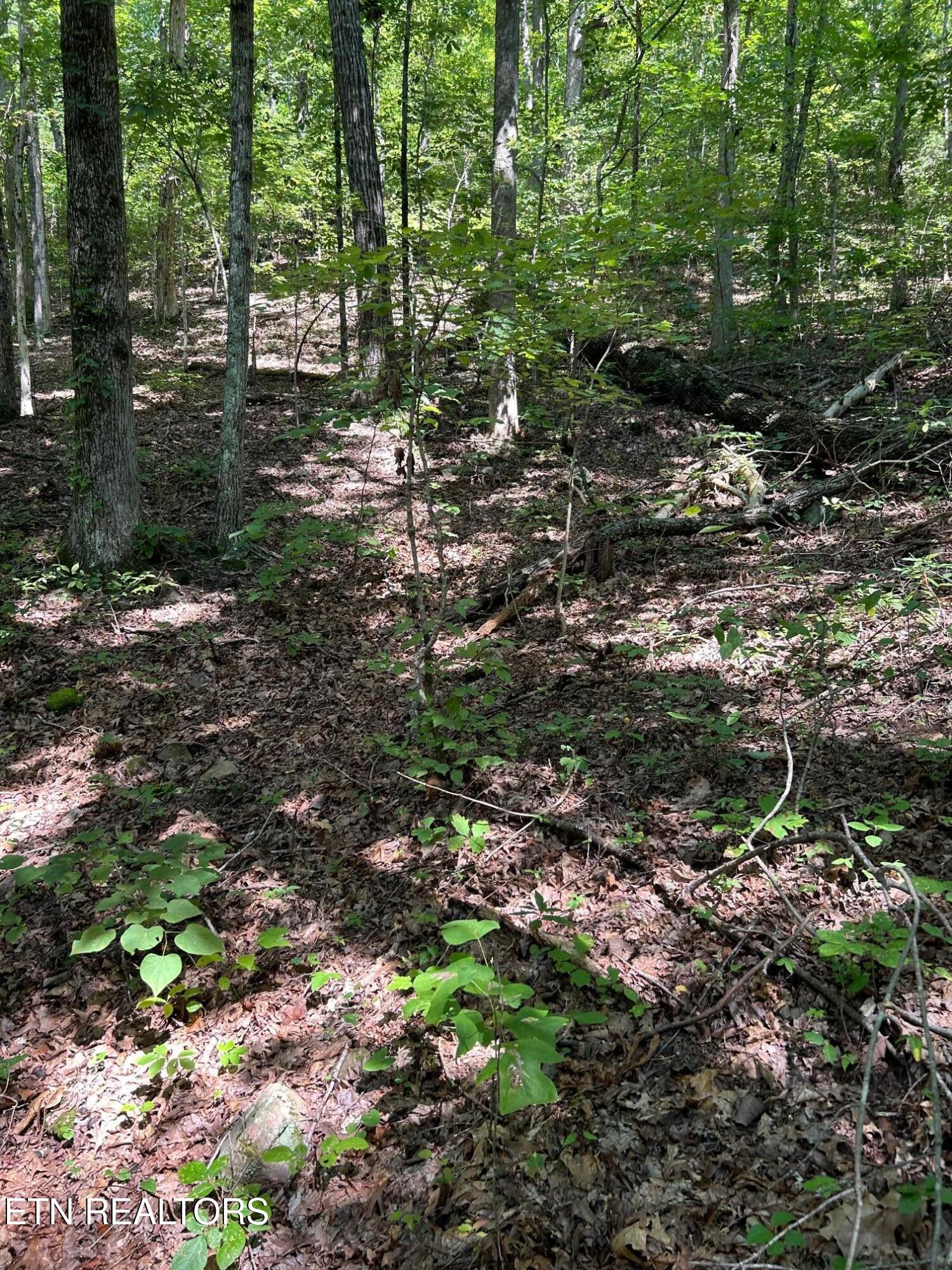 Laurel Mountain Circle Madisonville TN 37354