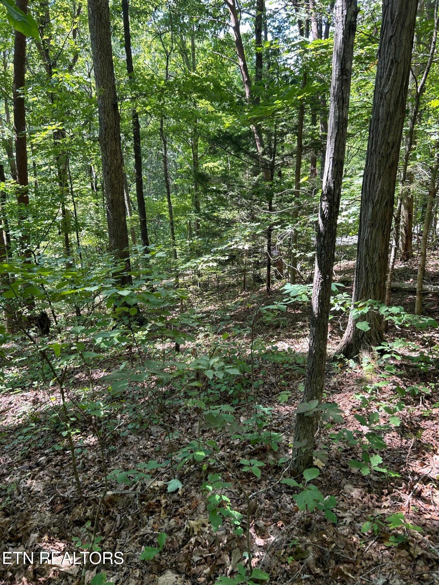 Laurel Mountain Circle Madisonville TN 37354