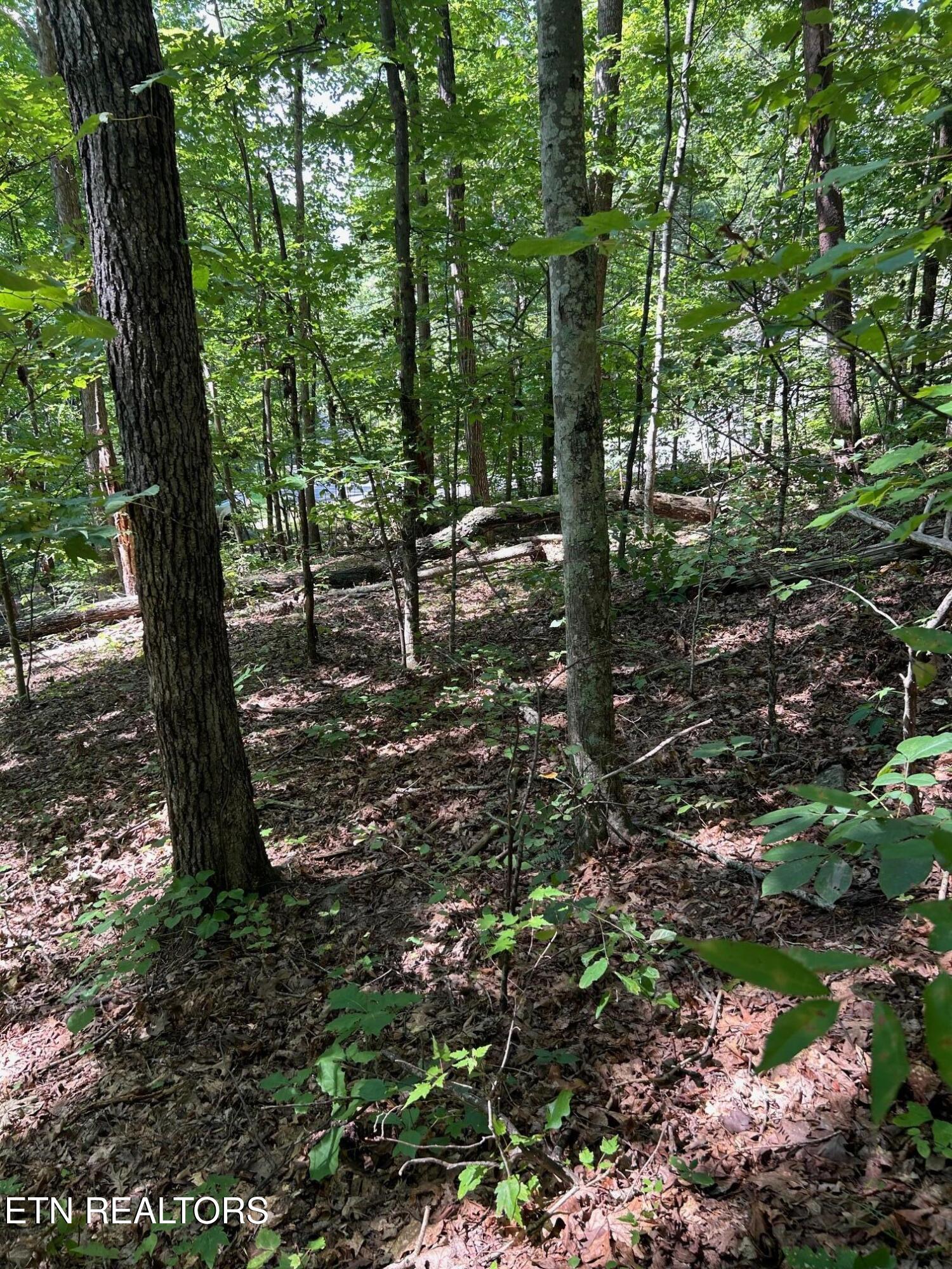 Laurel Mountain Circle Madisonville TN 37354