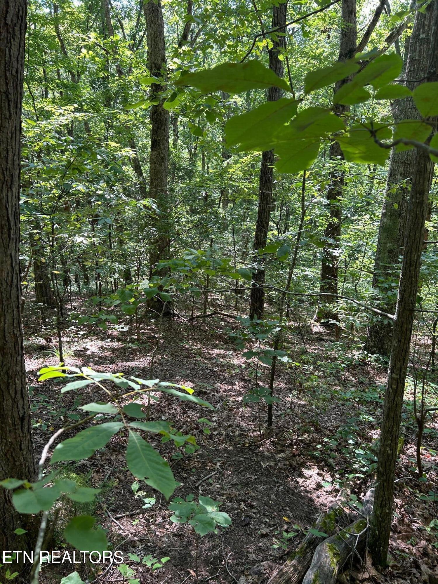 Laurel Mountain Circle Madisonville TN 37354